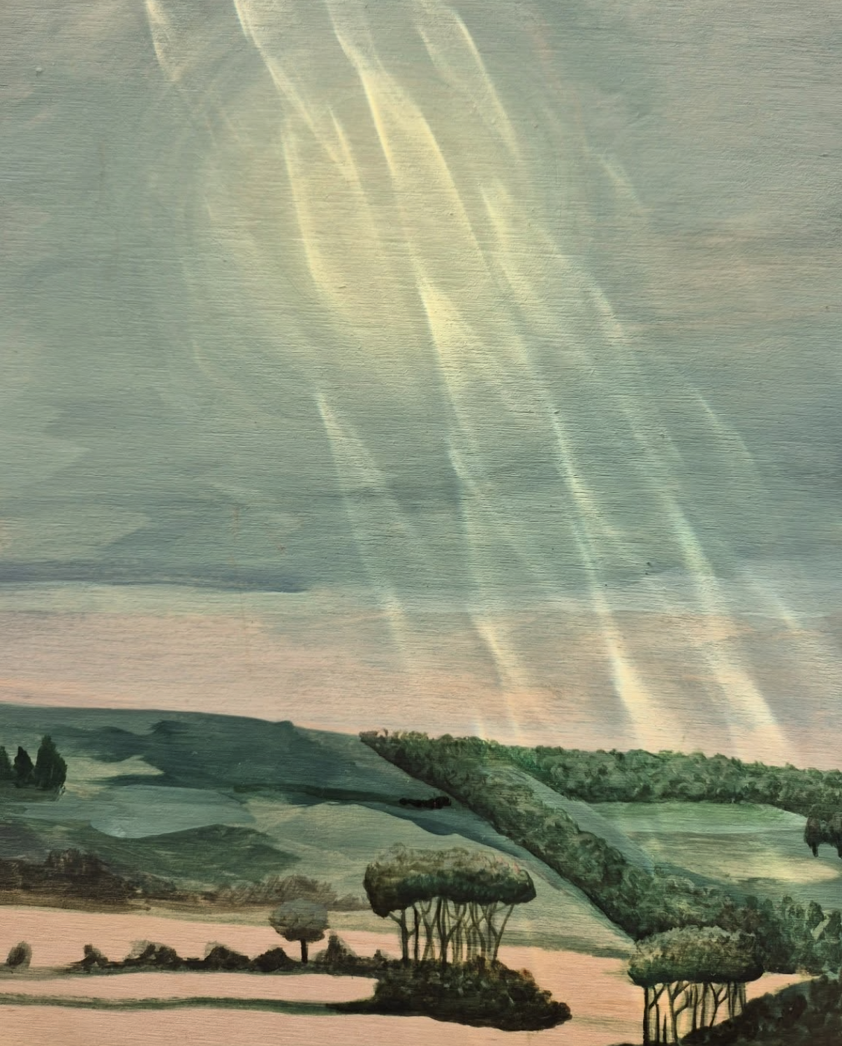 Screenshot 2026-01-22 at 5.17.20 pm.png