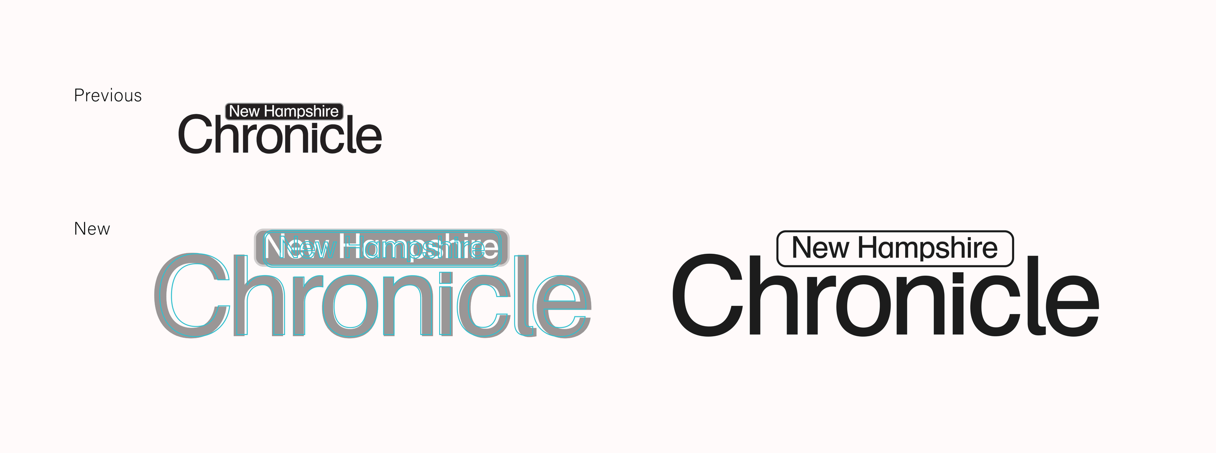 New Hampshire Chronicle (1)-04.png