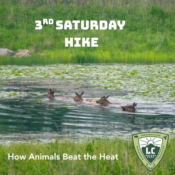 3rd Saturday Hike- How Animals Beat the Heat