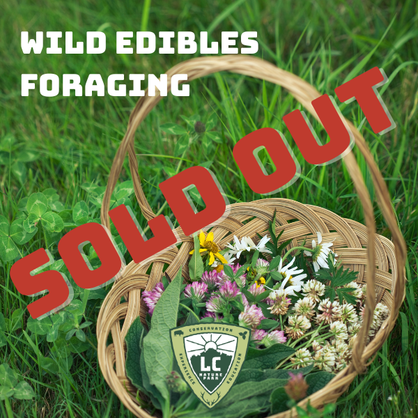Wild Edibles Foraging- Carrie Vrabel