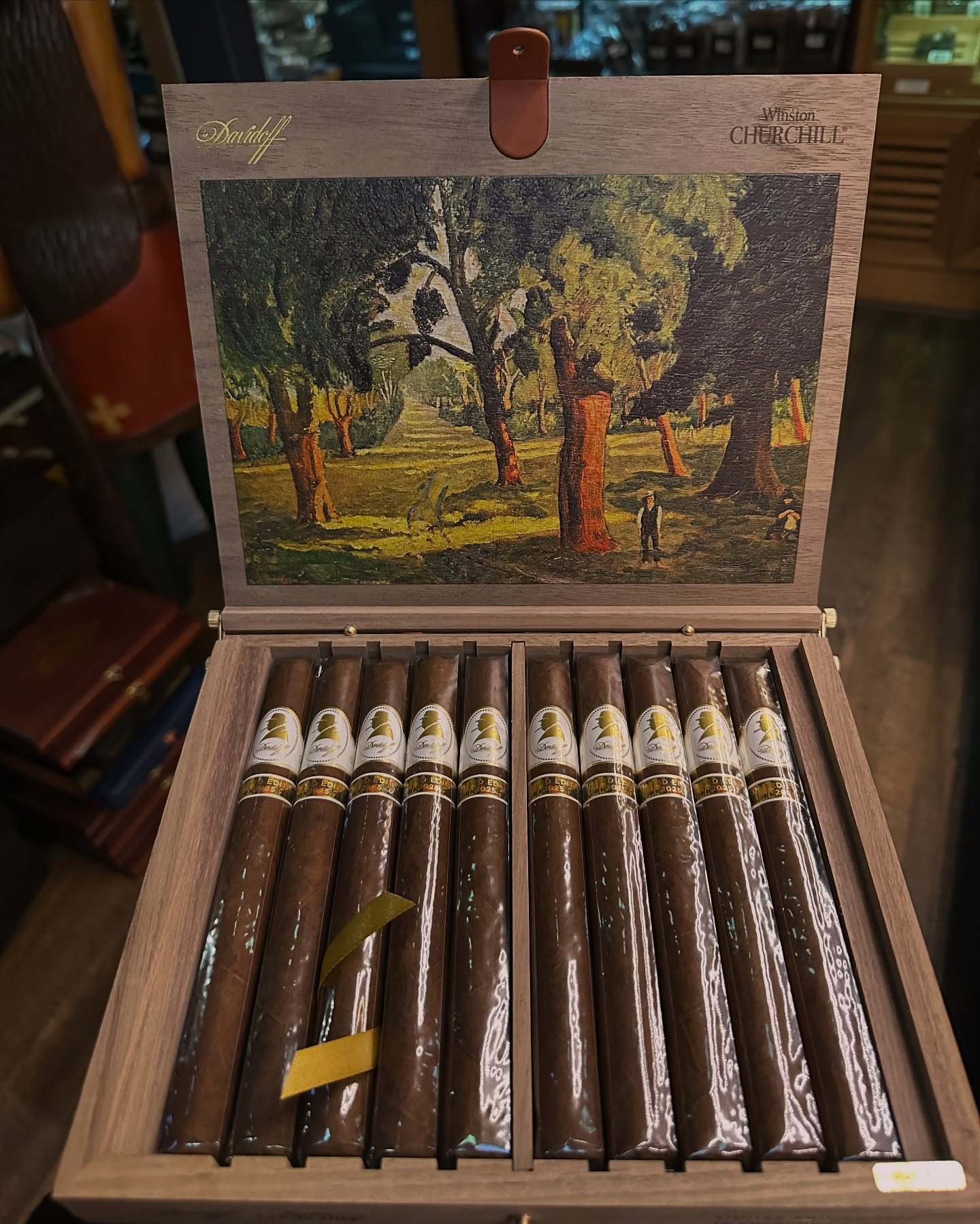 Now Smoking:

@davidoffcigars Winston Churchill Limited Edition 2025

This year&rsquo;s limited edition blend pays tribute to Winston Churchill&rsquo;s love for art. The lid of the box features his painting &ldquo;Cork Trees Near Mimizan&rdquo; which