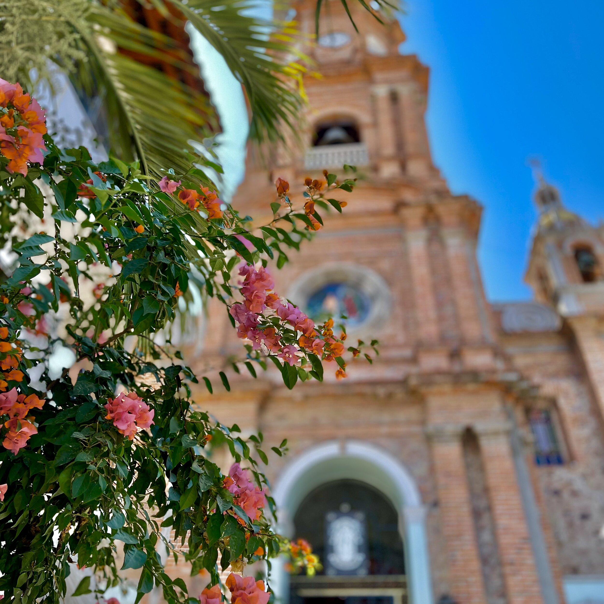 Cathedral w_bougainvillea flowers.jpeg