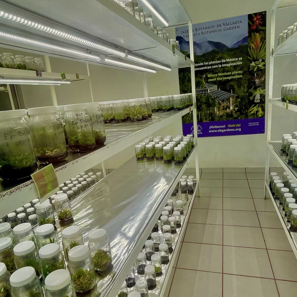 Conservatory inside shot.jpeg