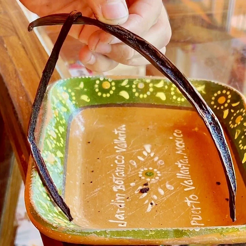 Vanilla bean opened showing paste.jpeg