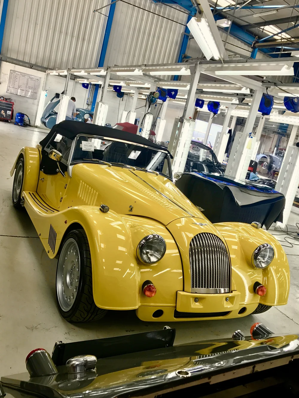 Yellow Morgan.jpeg