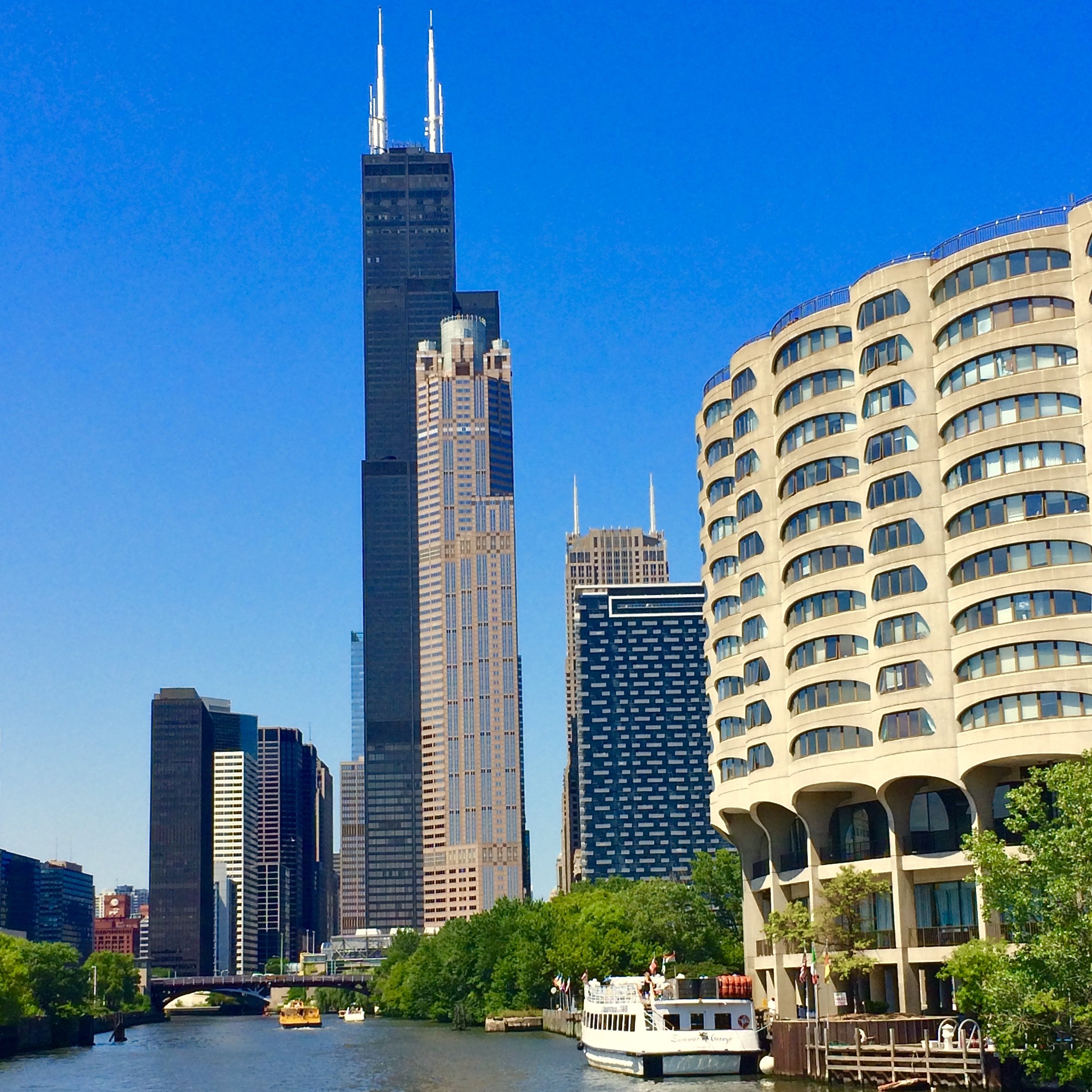 Chicago River skyline.jpeg