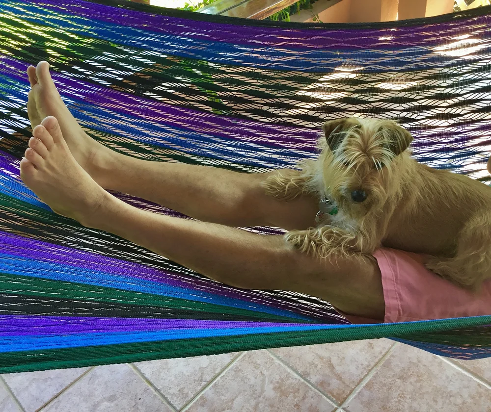 Henry on Hammock.jpeg