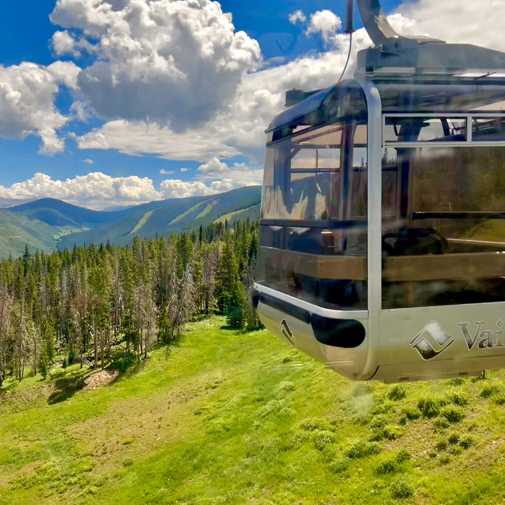 GONDOLA going down mountain.jpeg