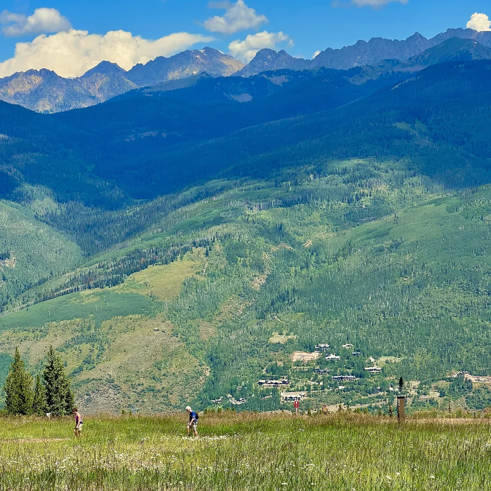 2 HIKERS in foreground OF MOUNTAINS.jpeg