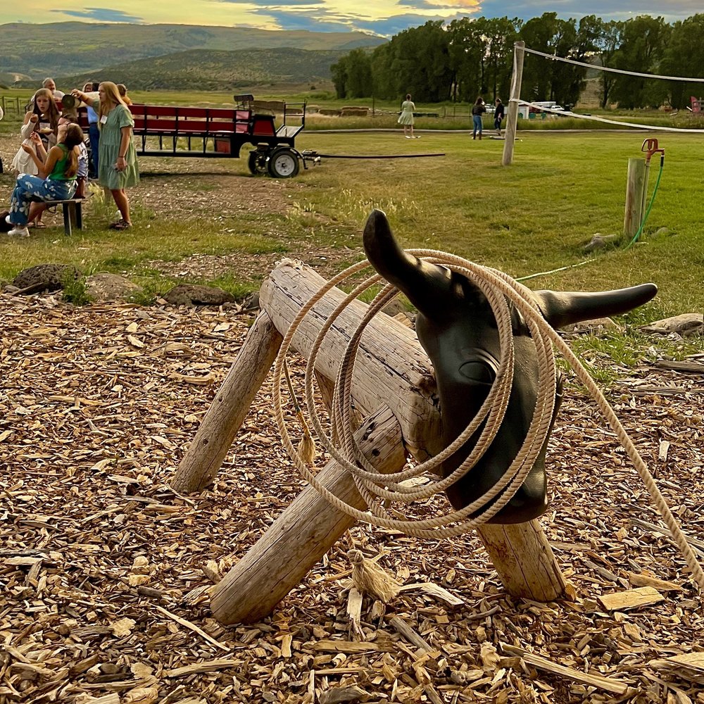 SAWHORSE Rodeo Rope.jpeg