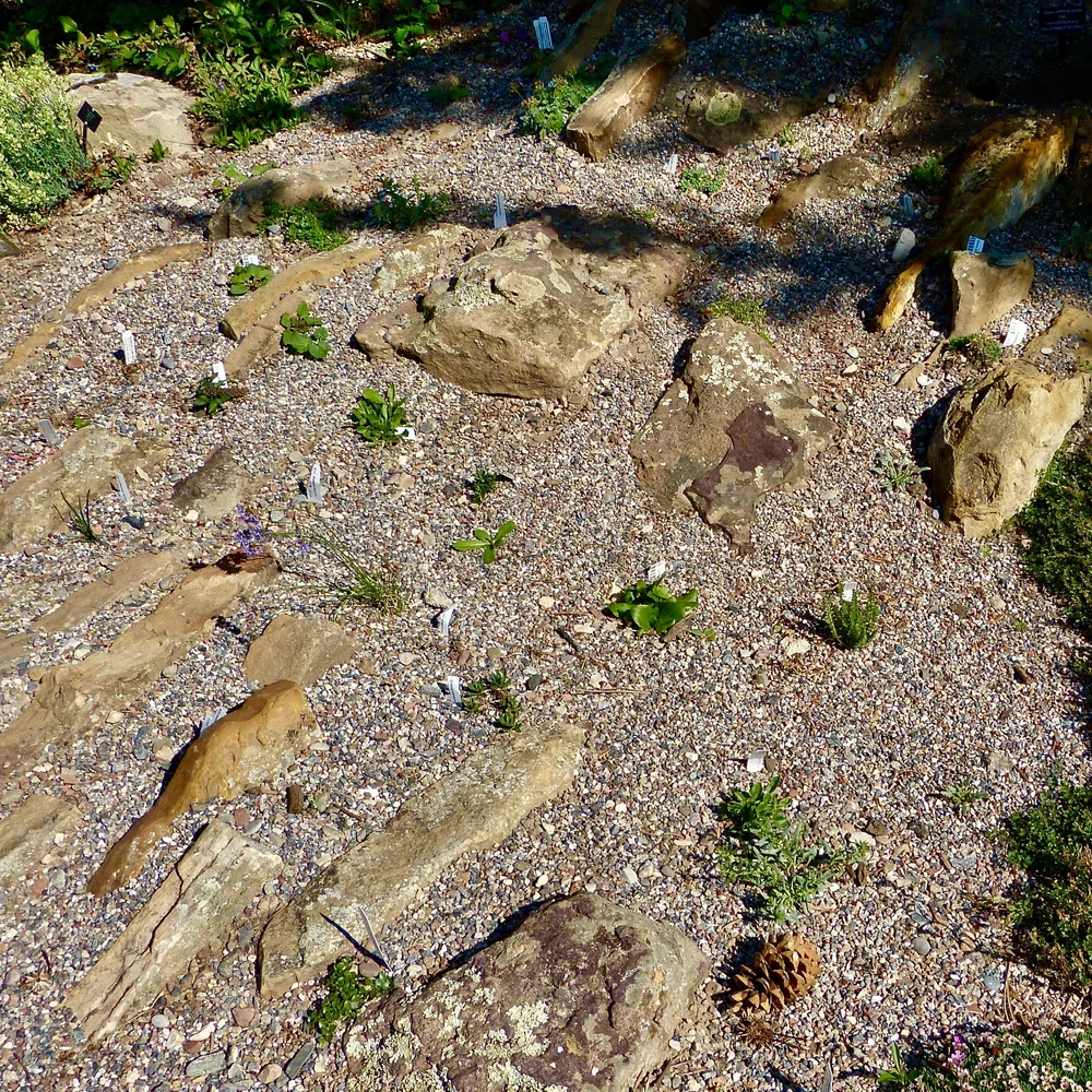 VERTICAL ROCKS in BETTY FORD GARDENSjpeg.jpeg