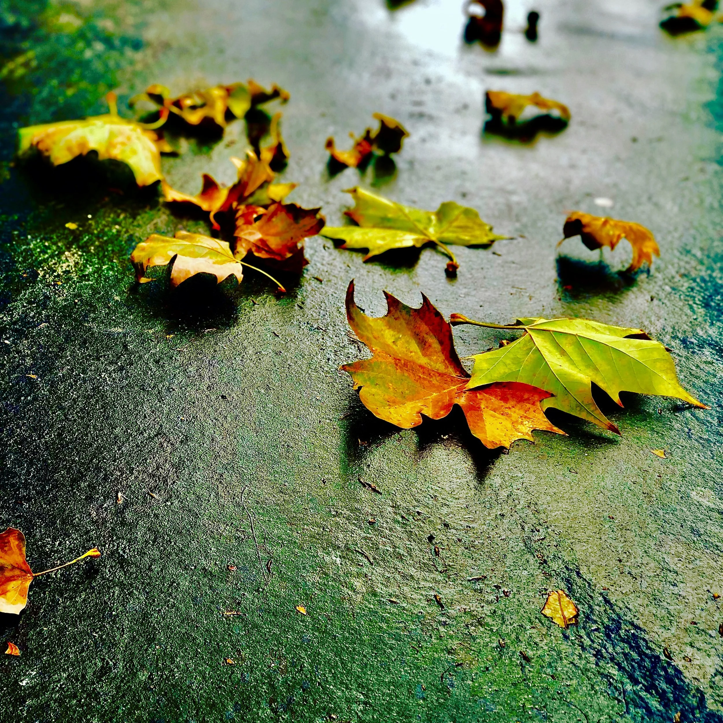 Travel Trends for Fall 2022