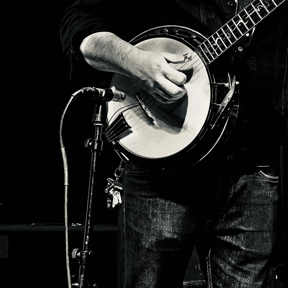 Banjo picker.jpeg