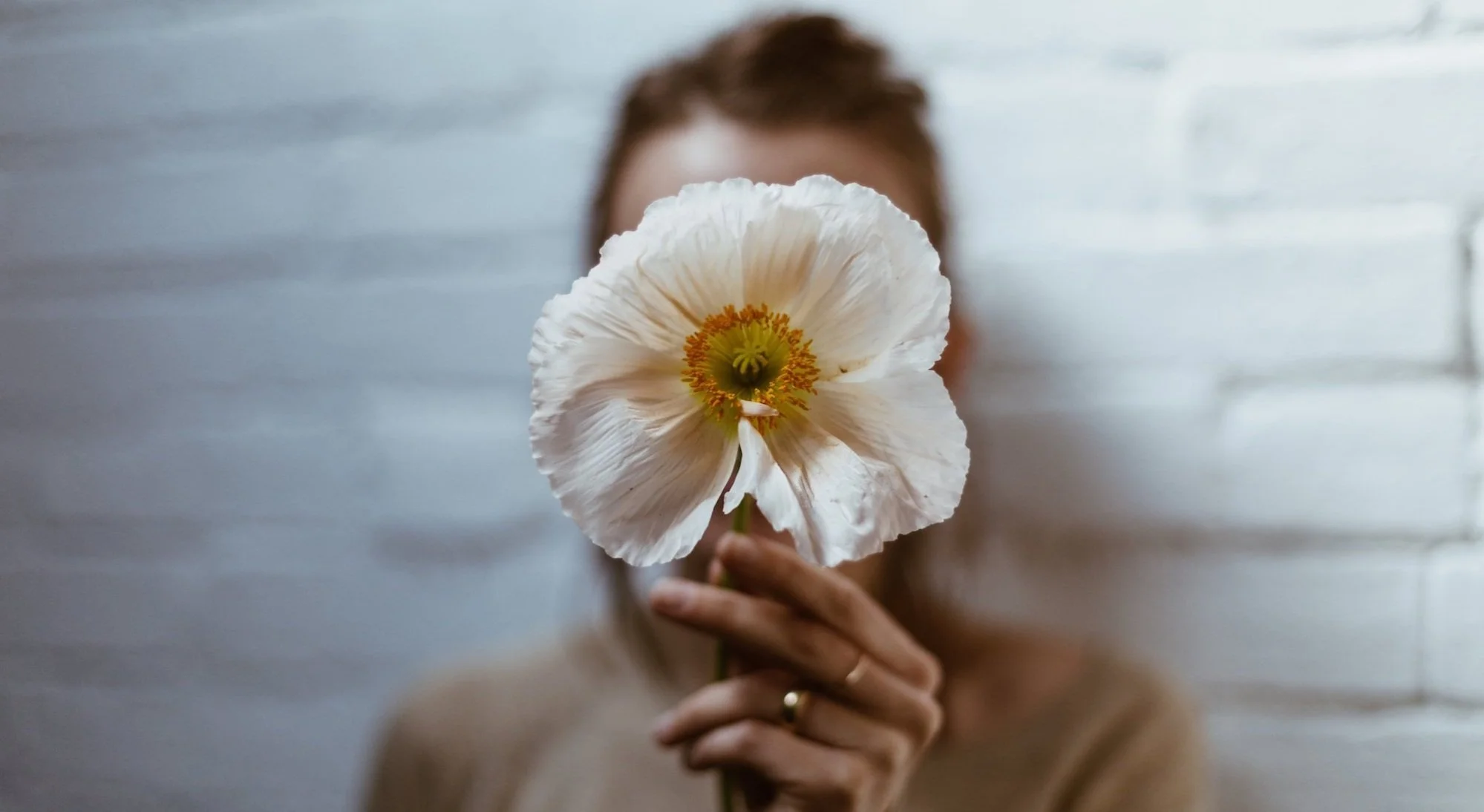 What Are The Three Doshas?