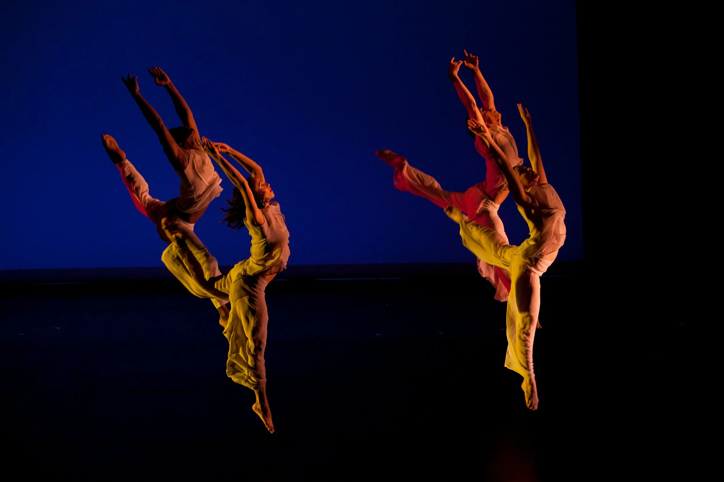 forest dreams - JENNY ABREU.jpg