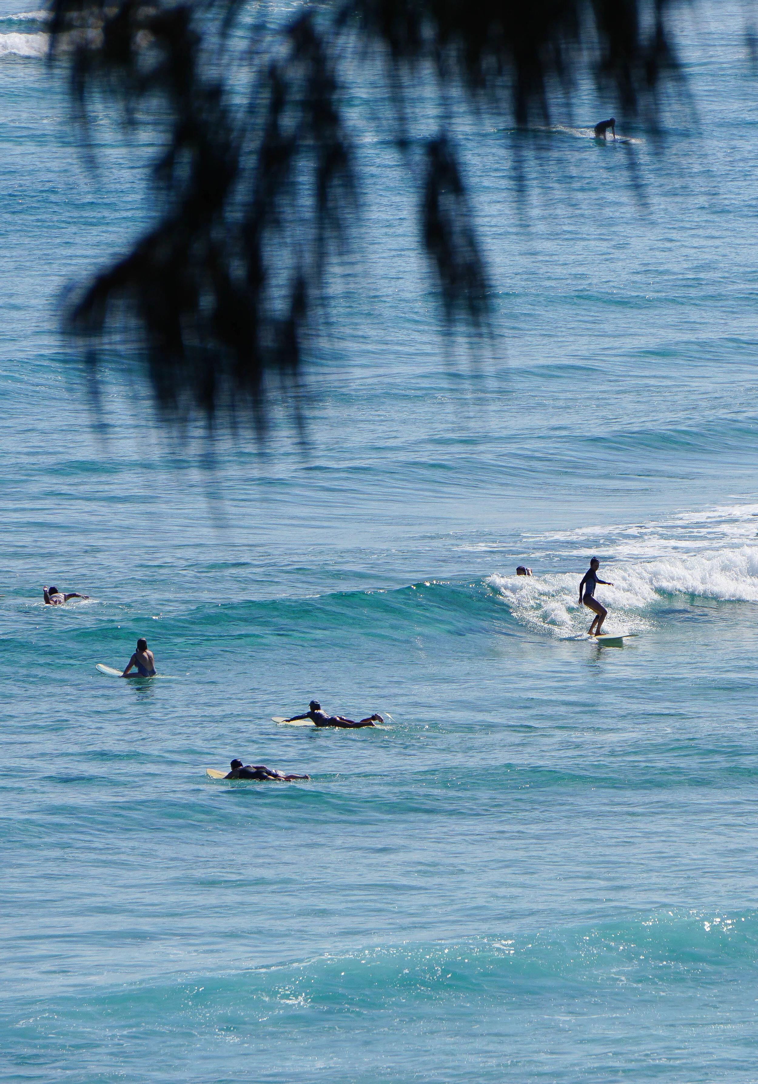 Wategos Beach, NSW // 01.2019