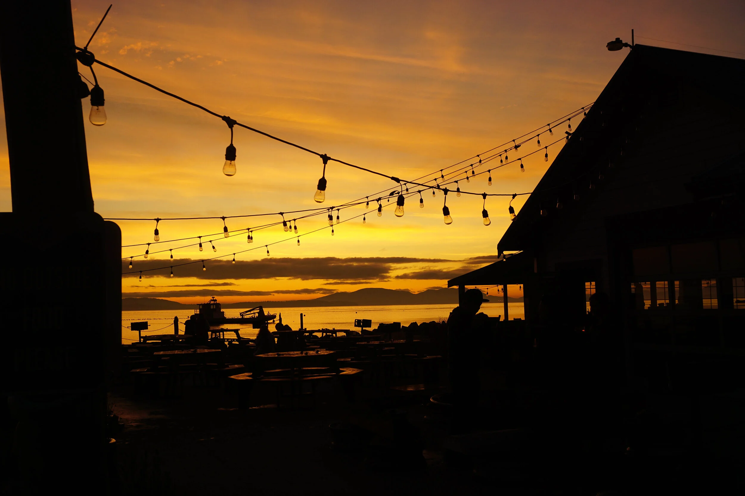 Bow, WA // 11.2019