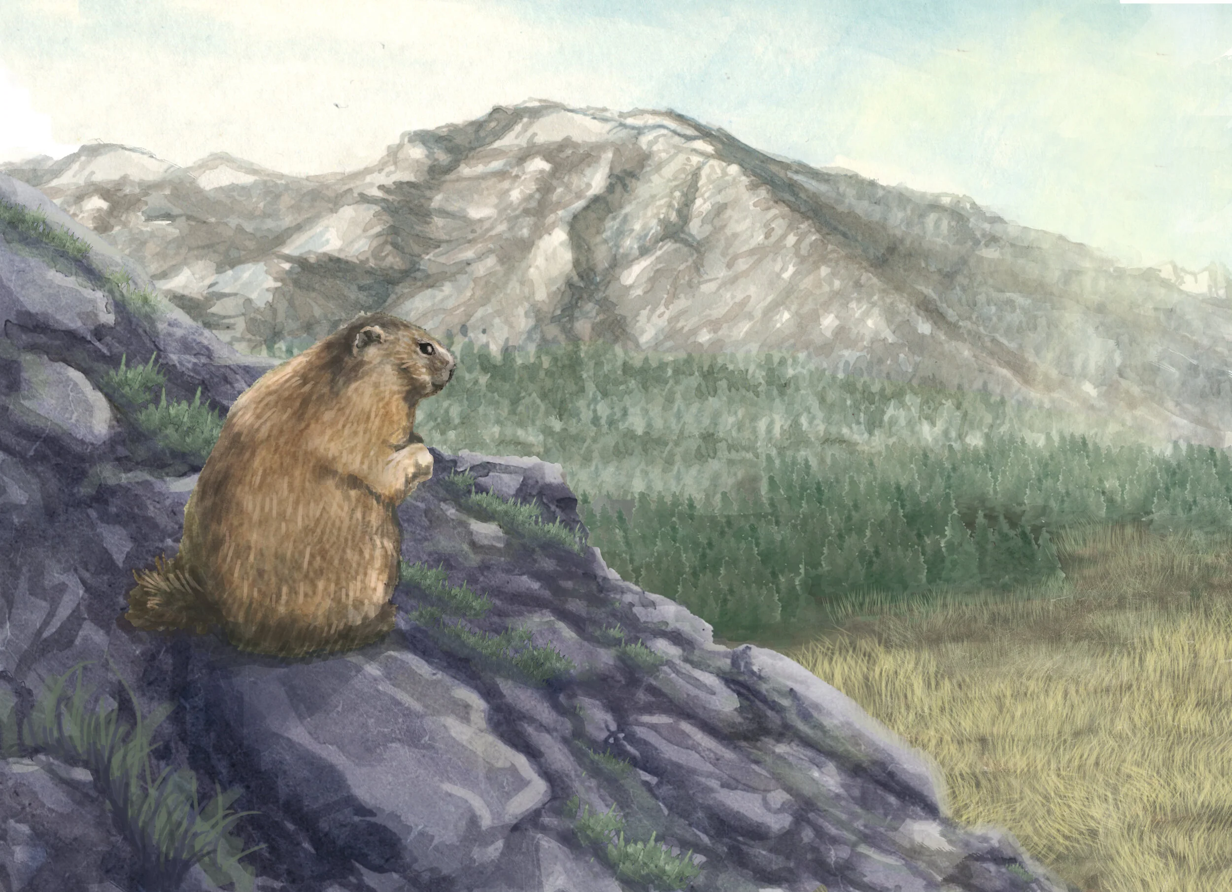 Moon Song — Wrango and Banjo