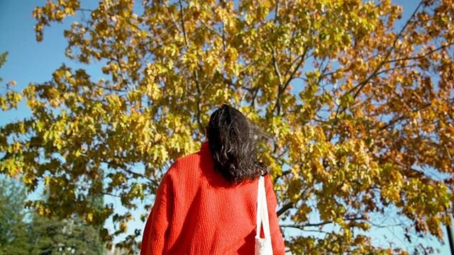 A few frames from a year long, four season shoot with @youbcpic &amp; @domain7 
We created three homepage loop videos to reflect their recruitment cycles. It was fascinating to pay close attention to how the campus, trees, weather, light and people c