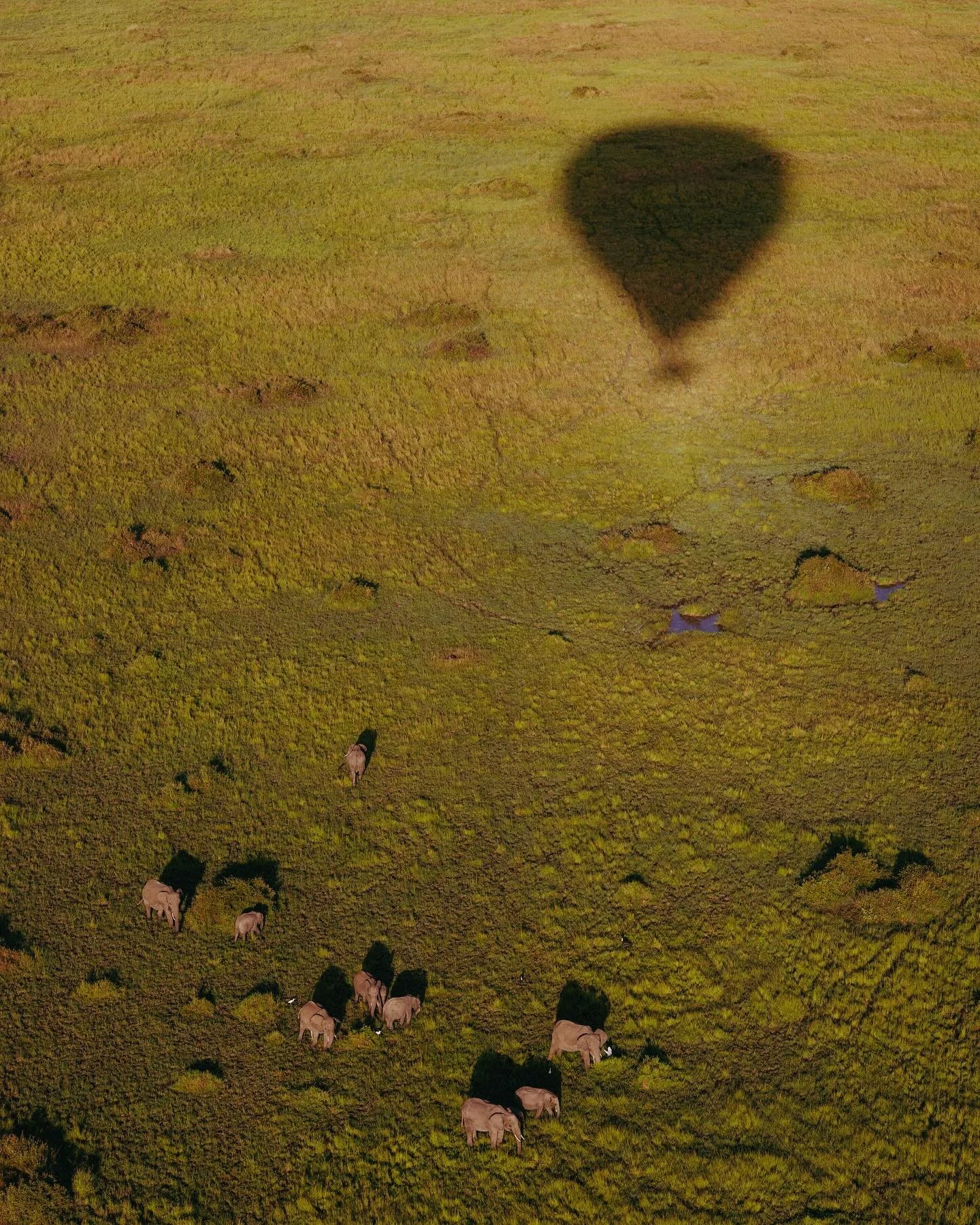 The post-Oasis comedown has set in. What a glorious weekend full of humanity and joy here in LA over the last few days. 

Bringing myself back to life by revisiting Kenya photos while plotting for the next African adventure with @yourprivateafrica 

