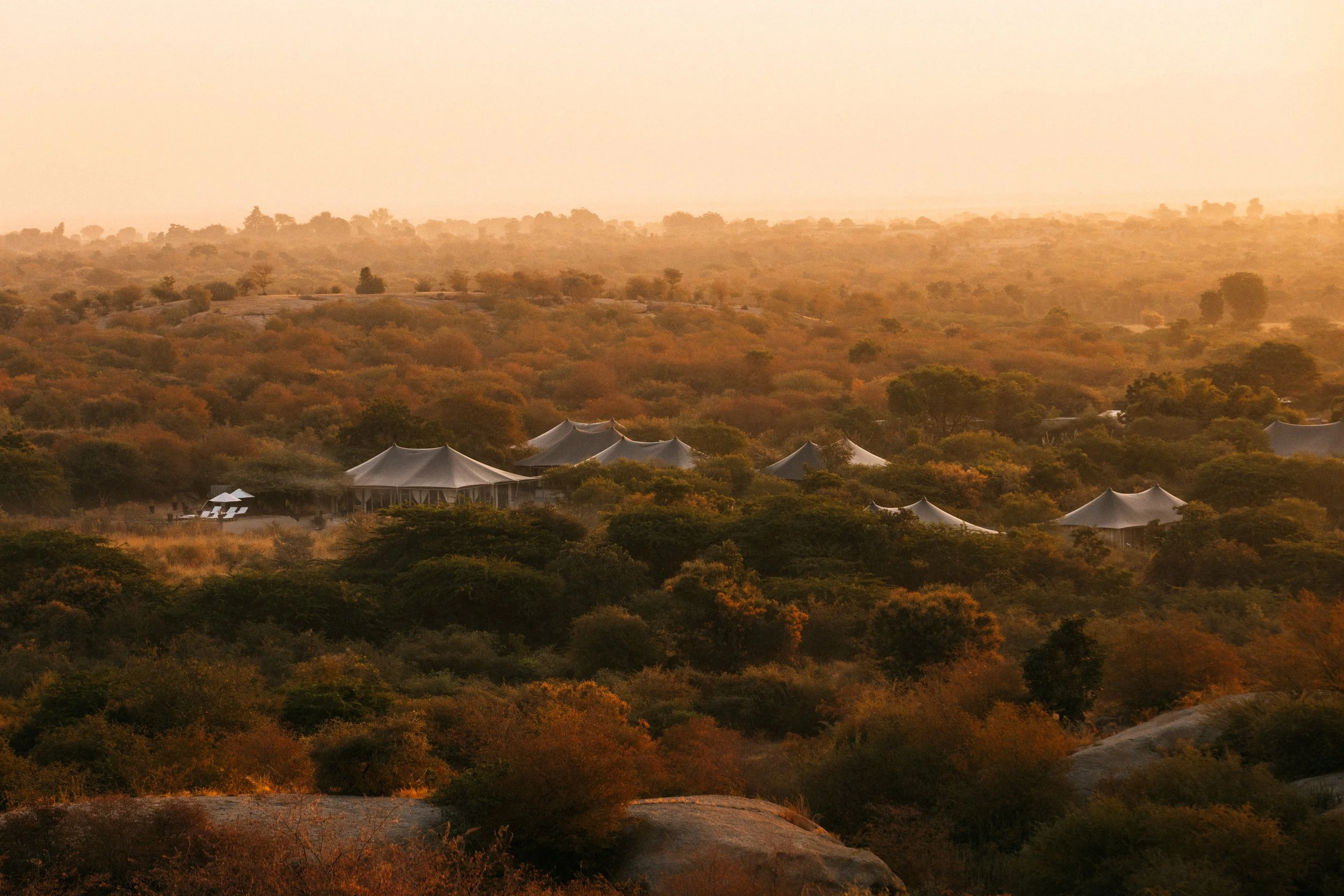 Sujan Jawai, India