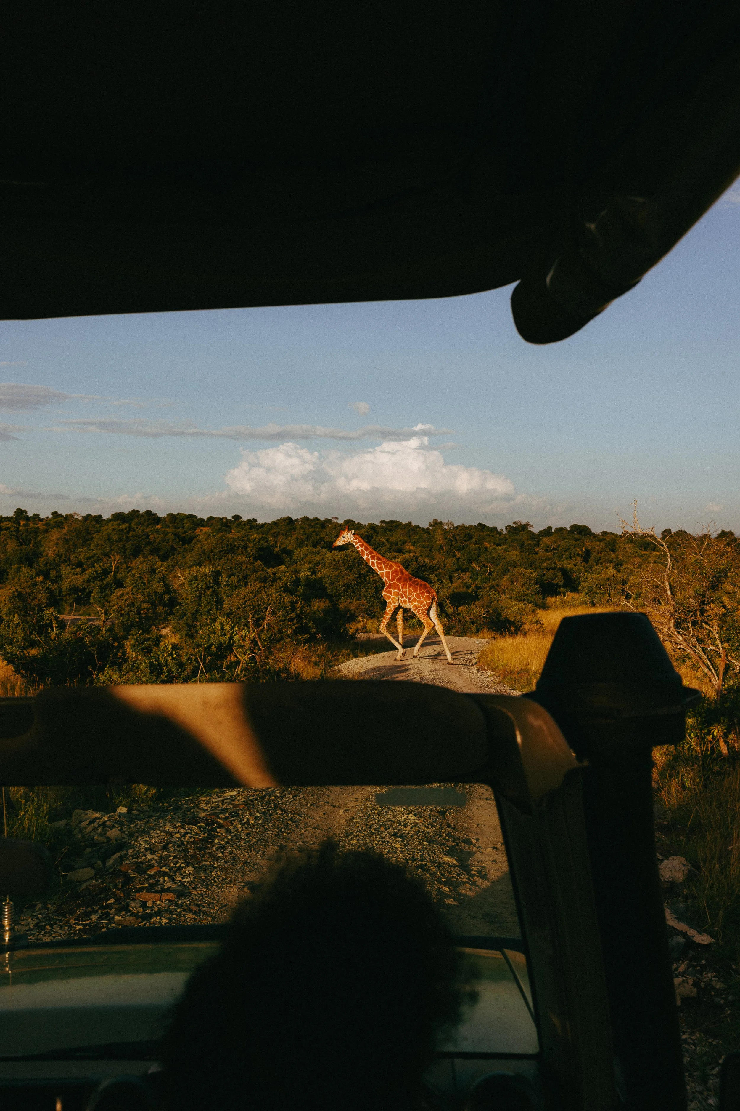 kenya-africa-safari-travel-adventure-tanveer-badal-28.jpg