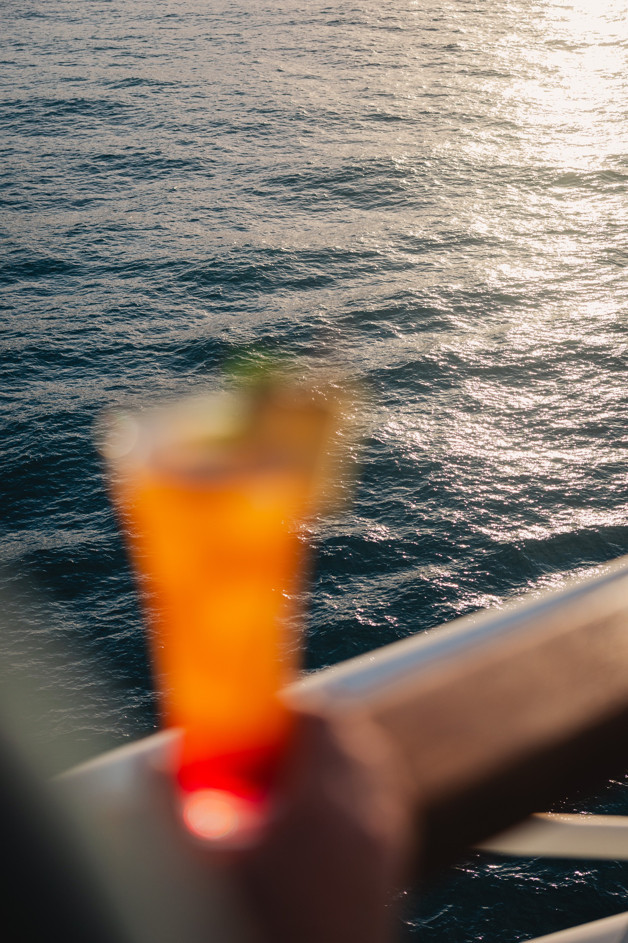 caribbean-luxury-cruise-photographer-seabourn-ovation-tanveer-badal-12.jpg