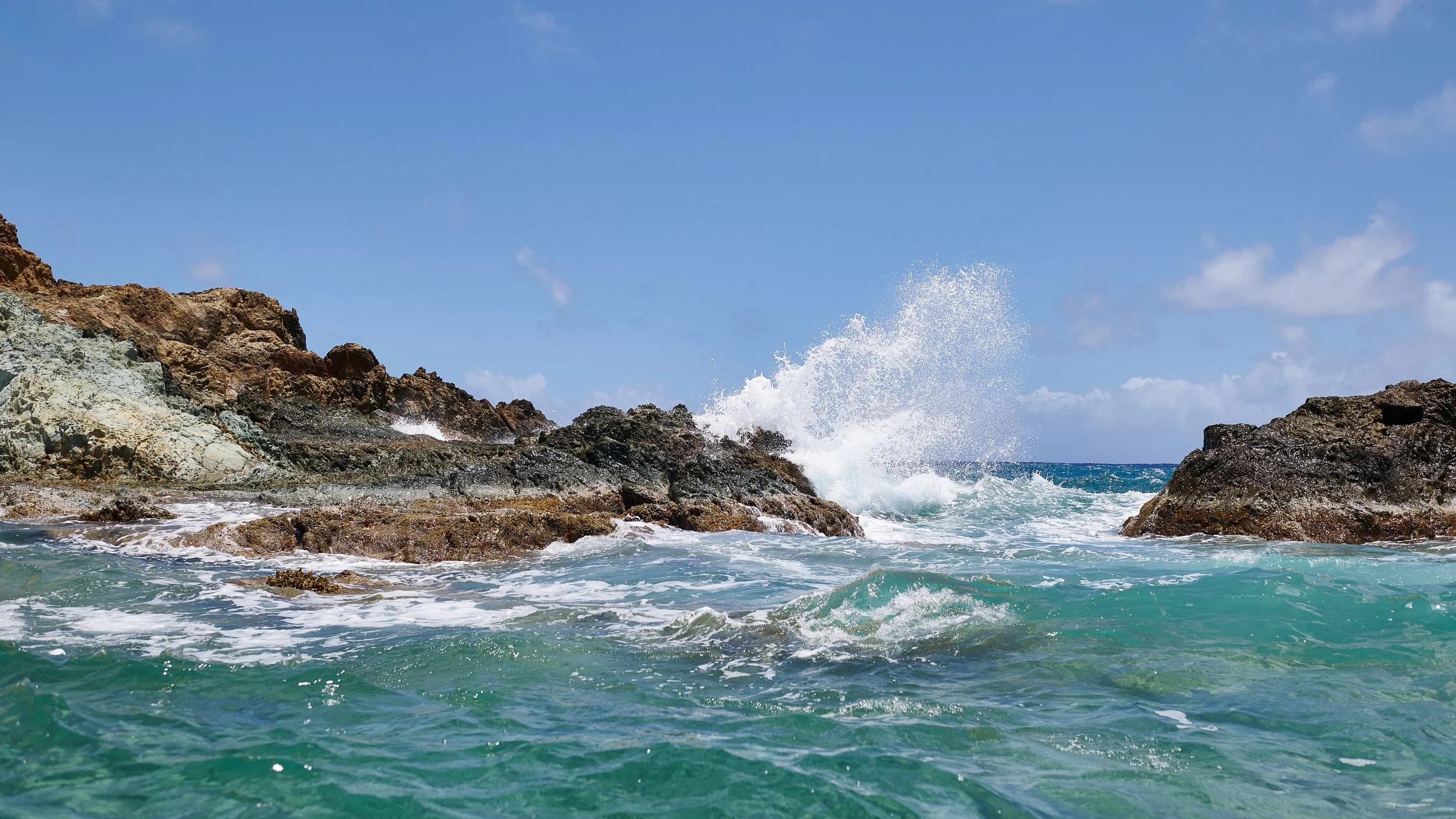 DSC_6623.jpg
