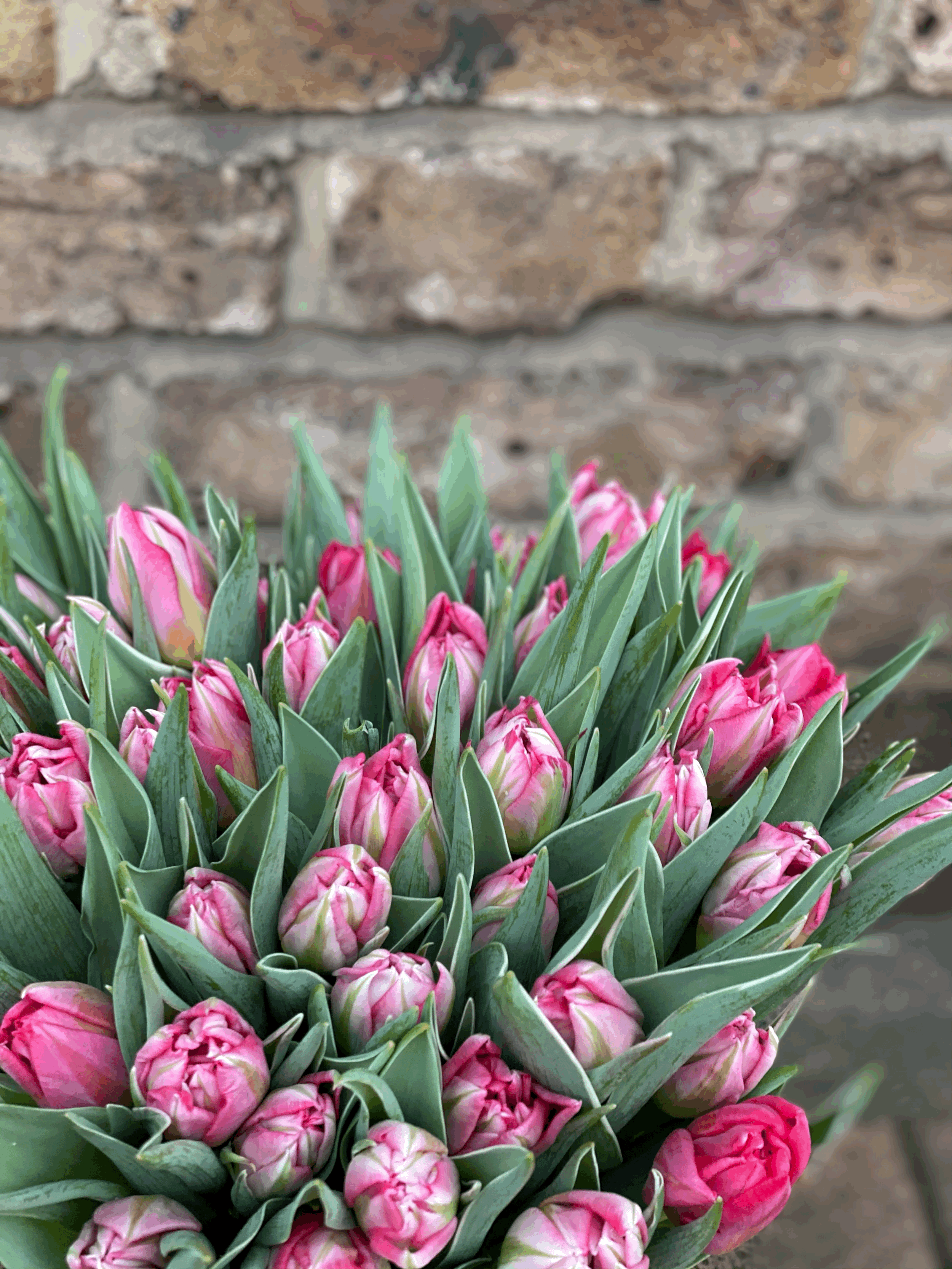 Simply Tulips - Mother's Day Flowers delivered in London and West Sussex