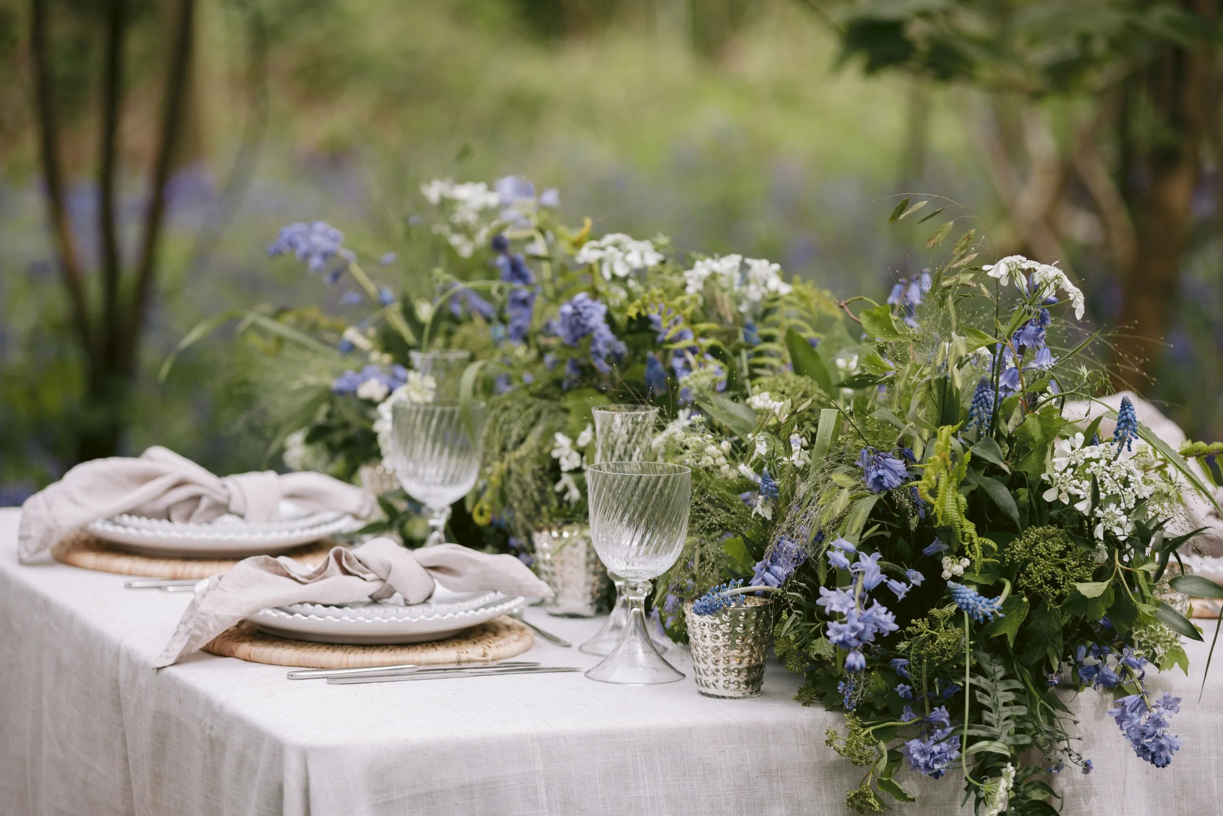 BLUEBELL WOODS 2024-22.jpg