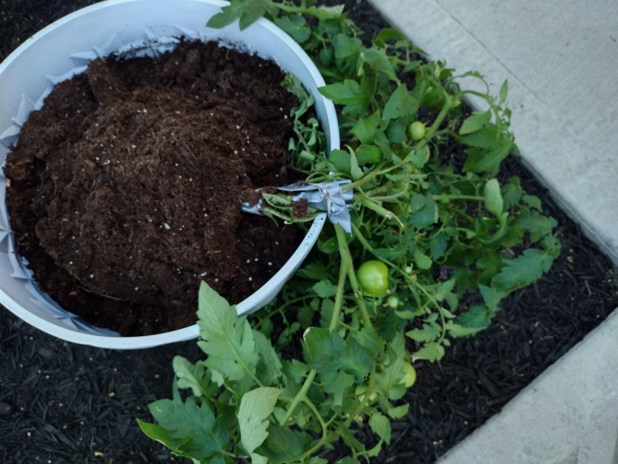 Broken but not condemned