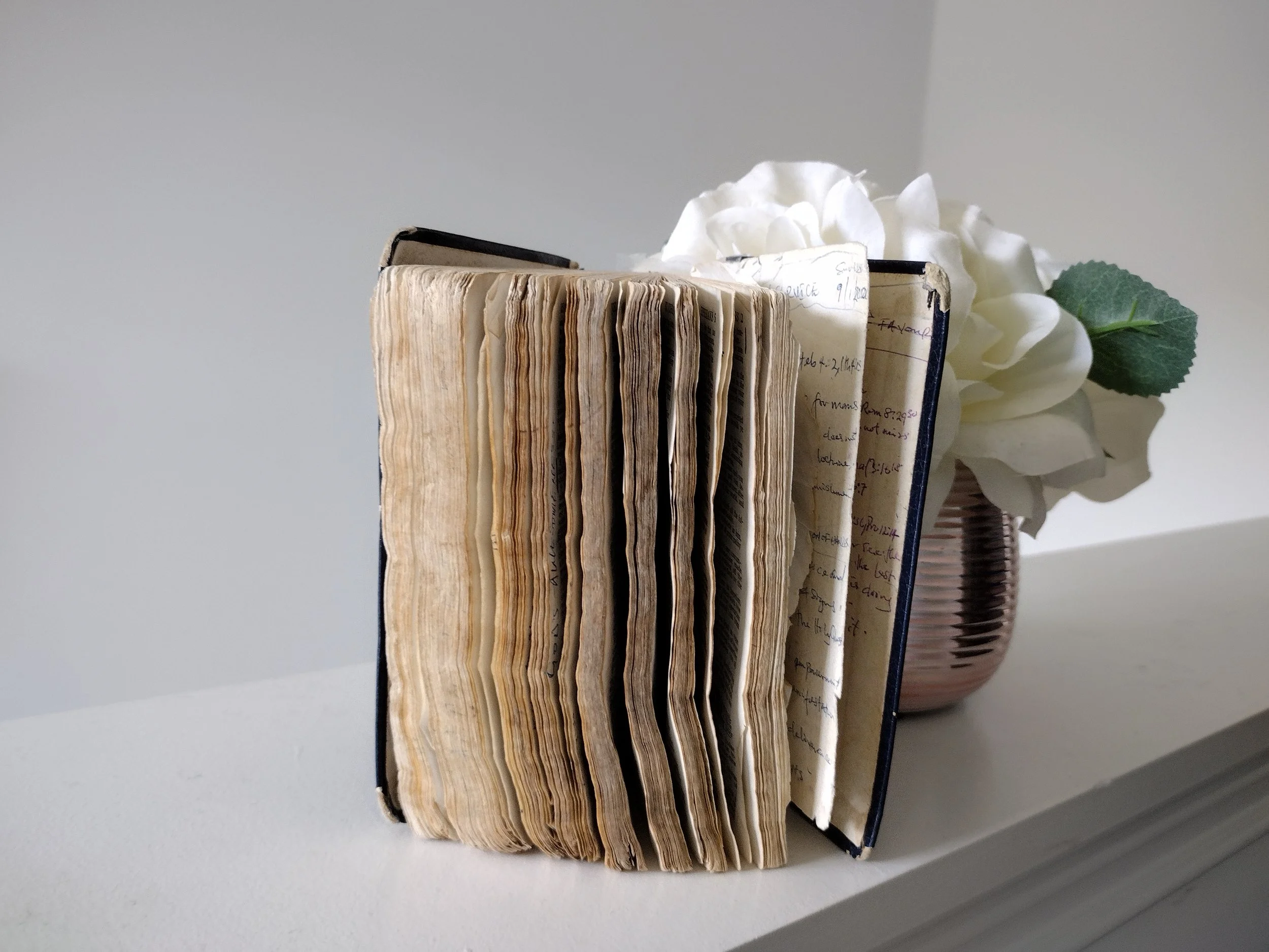 The Bible: The Living Word