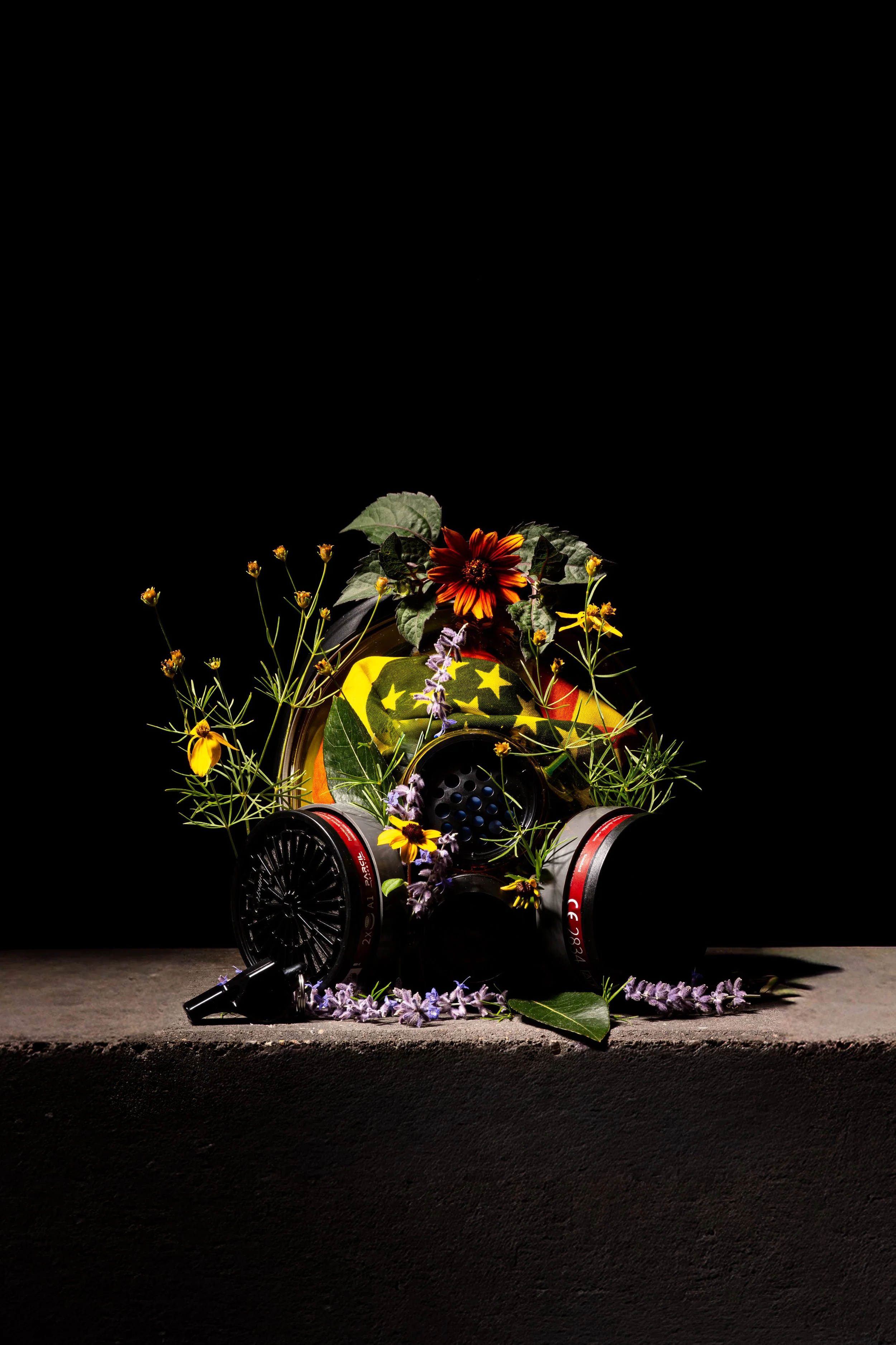 Bloom Through the Pain - BUMP OPERA