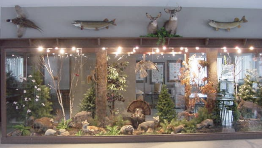 Kokomo Summer Series: Kirkendall Nature Center