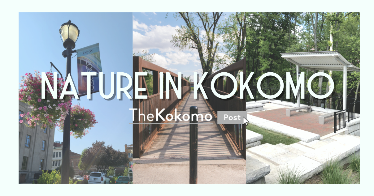 Nature In Kokomo