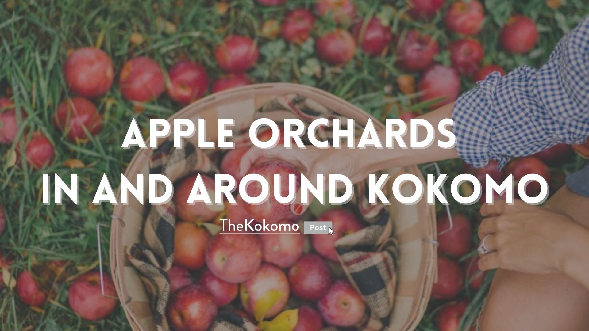 The Ultimate Guide to Fall in and Around Kokomo — The Kokomo Post