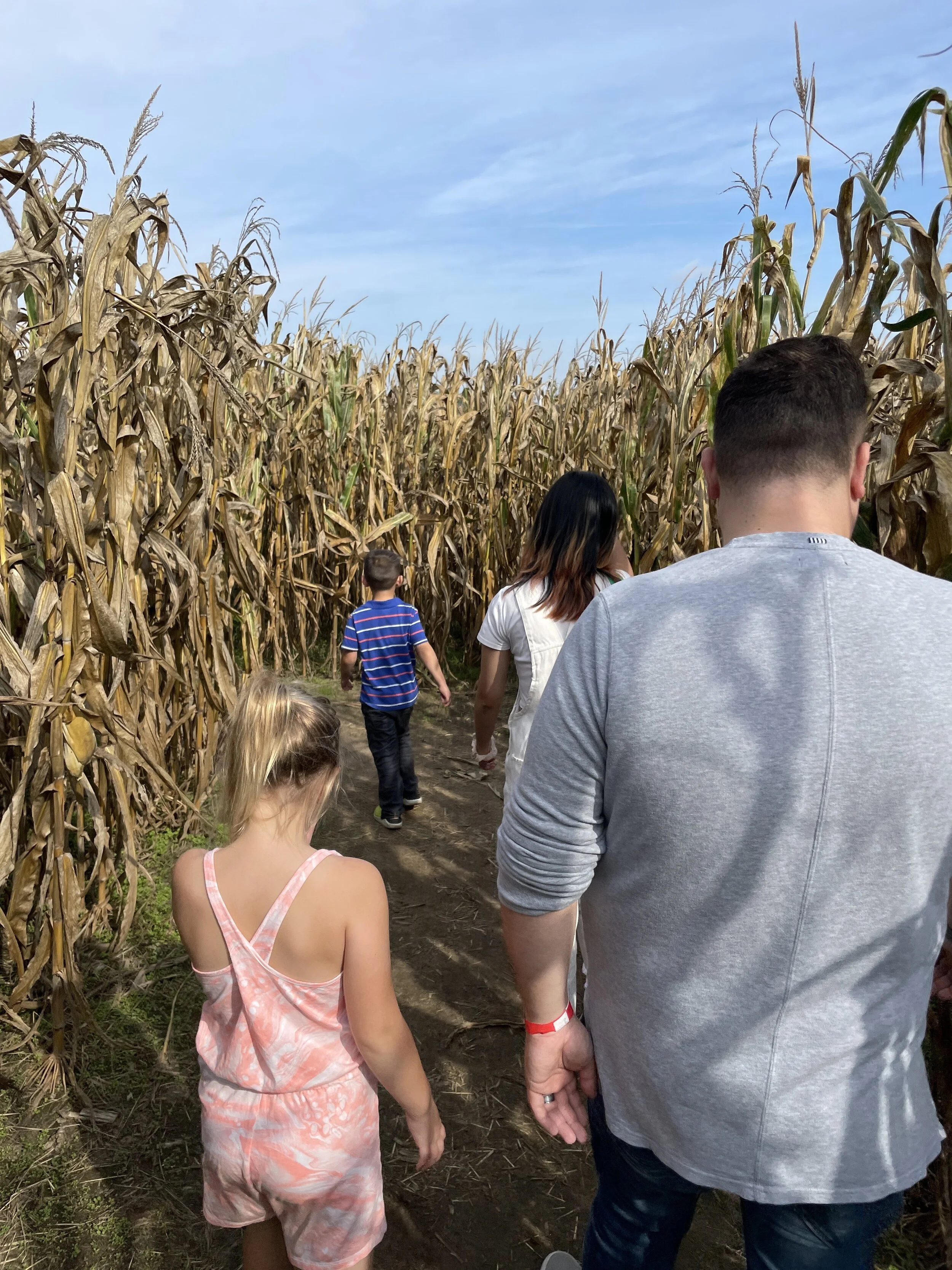 8 Reasons to Get out of the House this Weekend