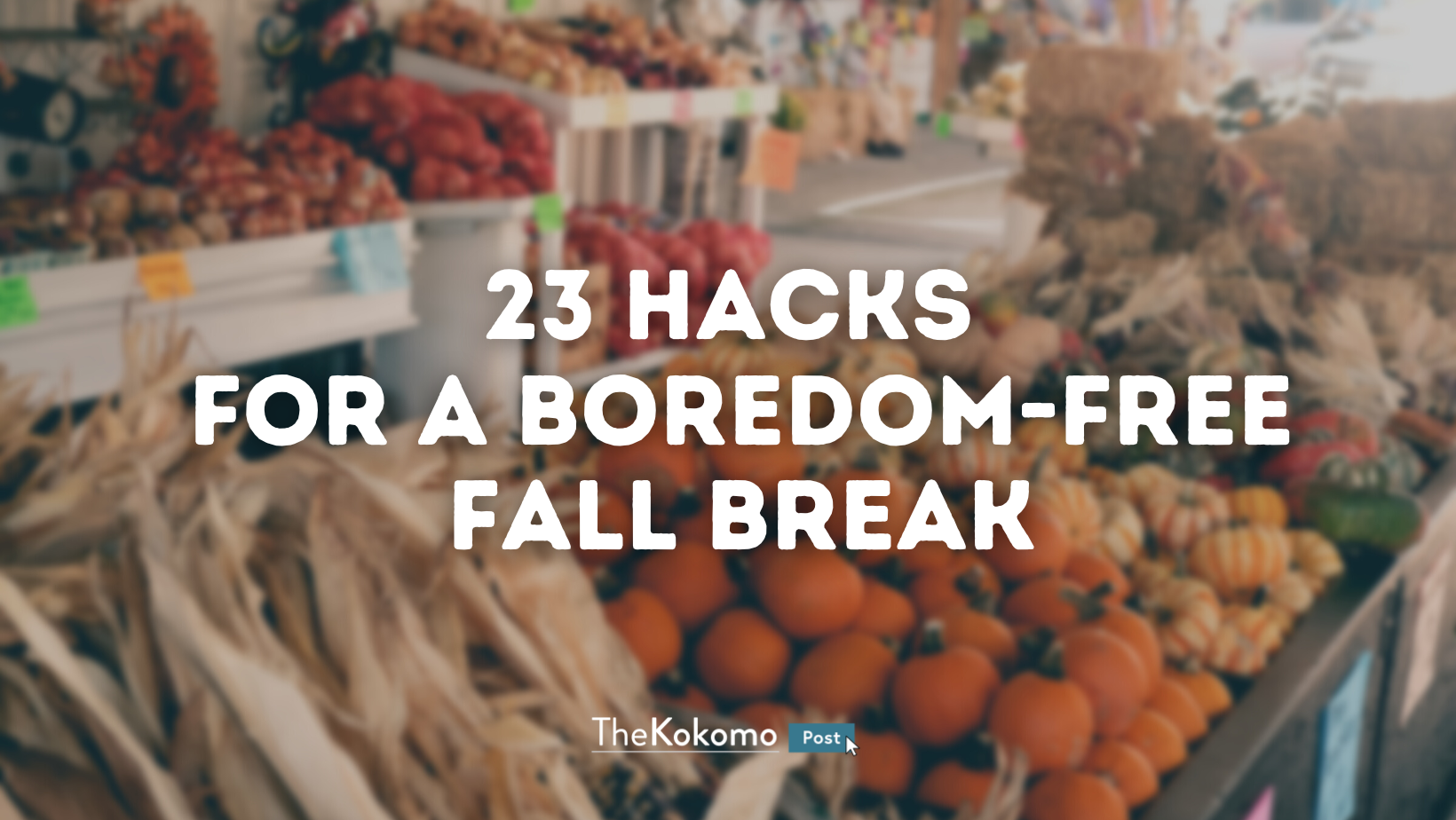 23 Hacks for a Boredom-Free Fall Break