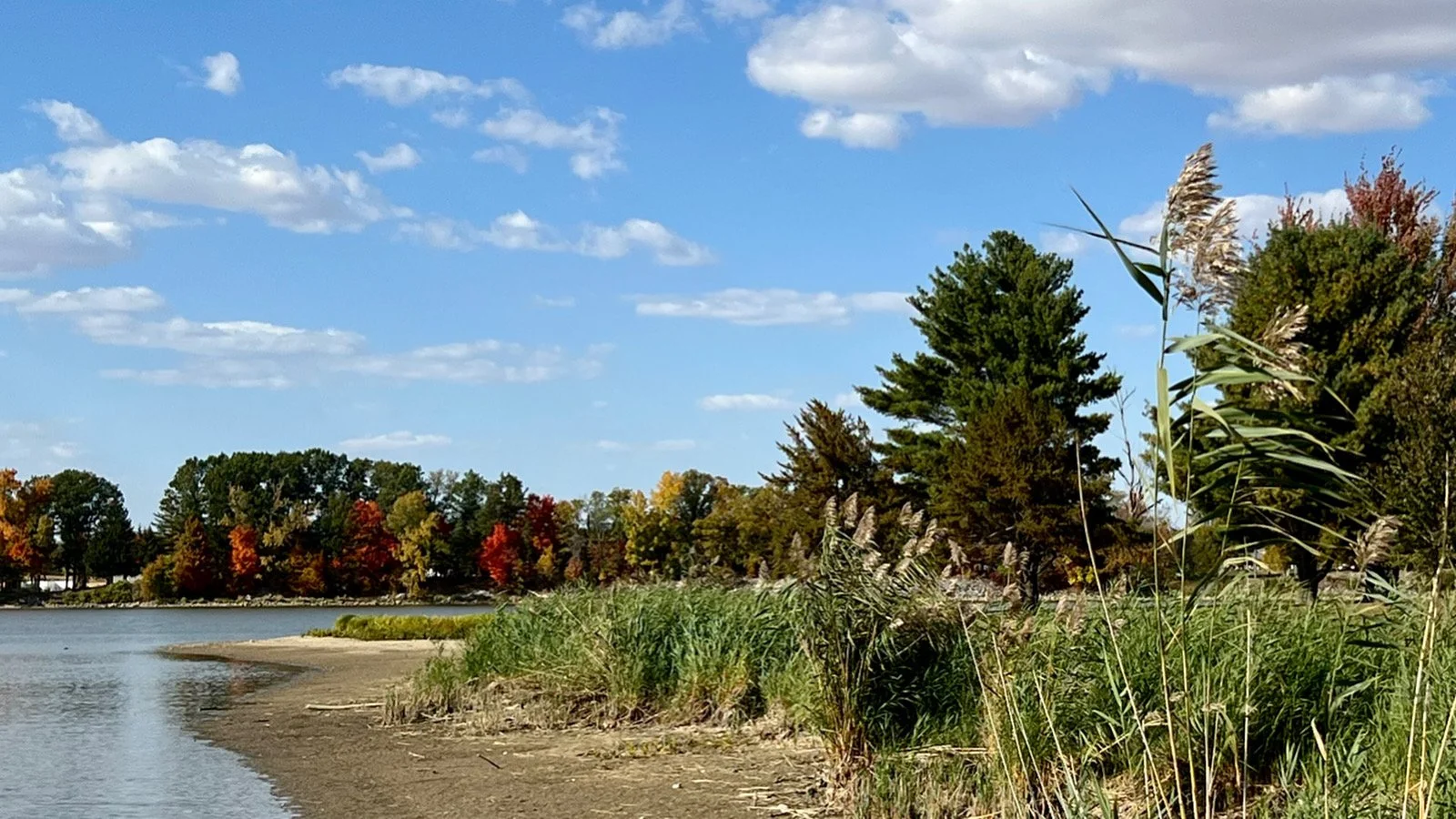 Where to Go for the Best Fall Views in Kokomo — The Kokomo Post