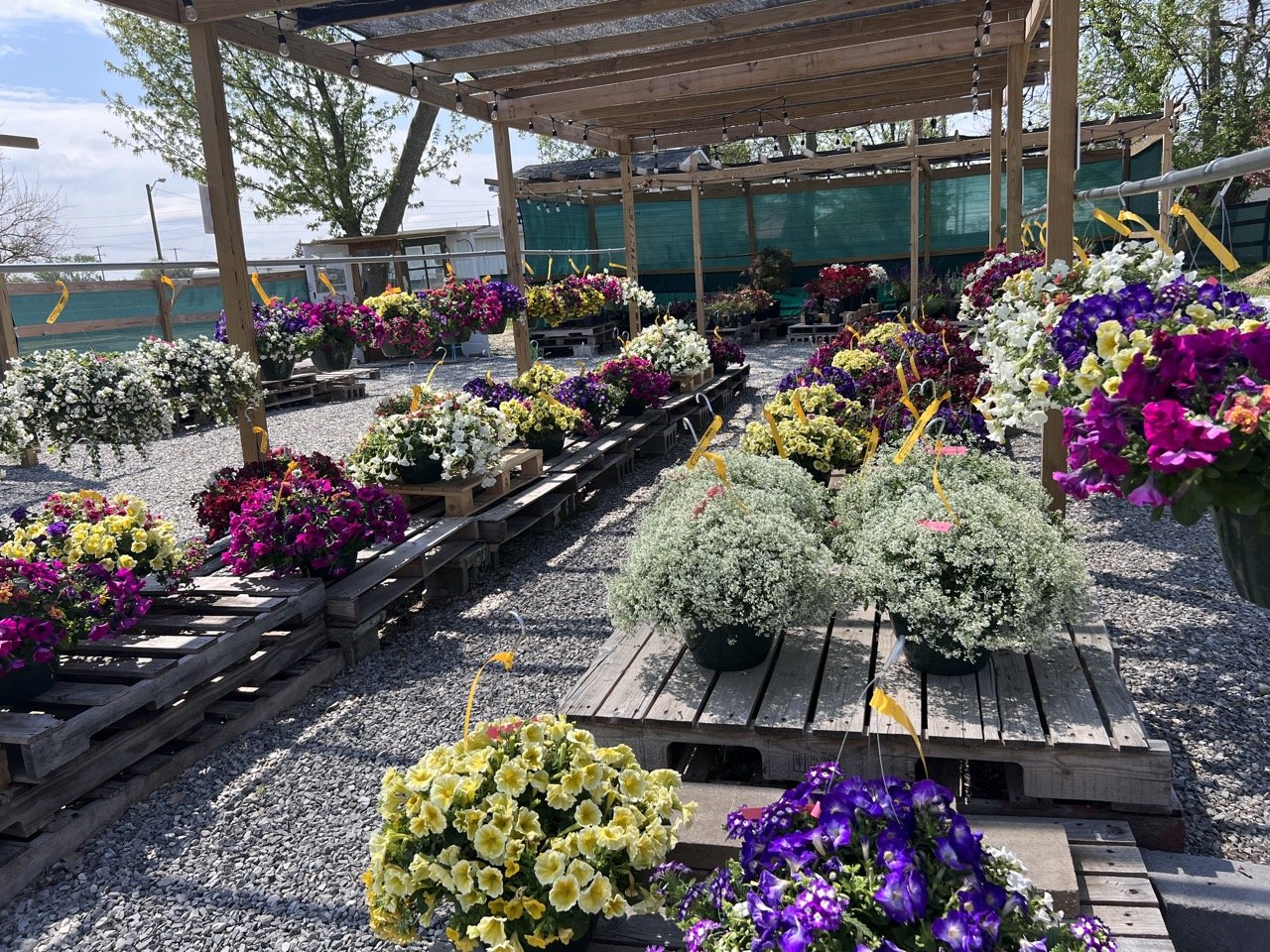Bloom Time Gardens Reopens for Season