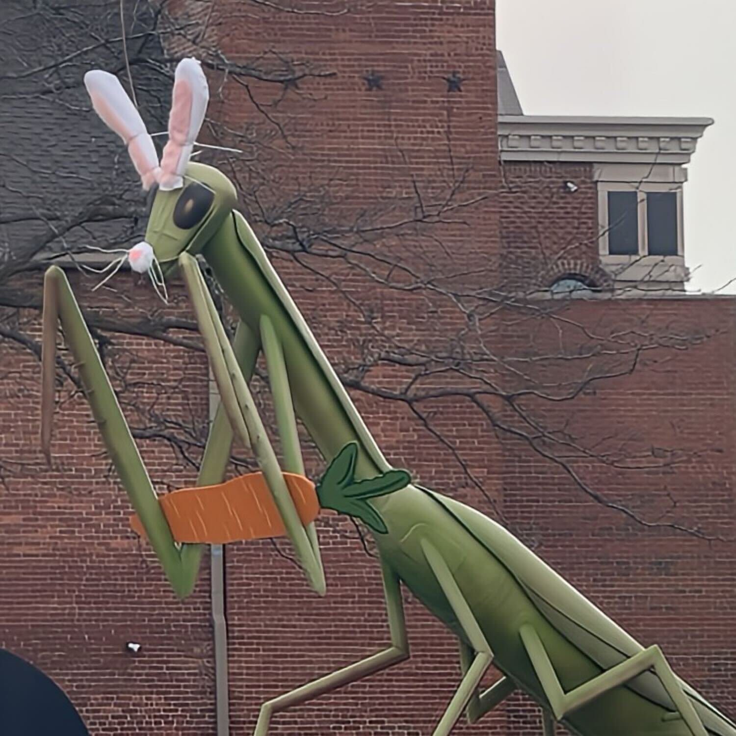 Mantis Makeover — The Kokomo Post