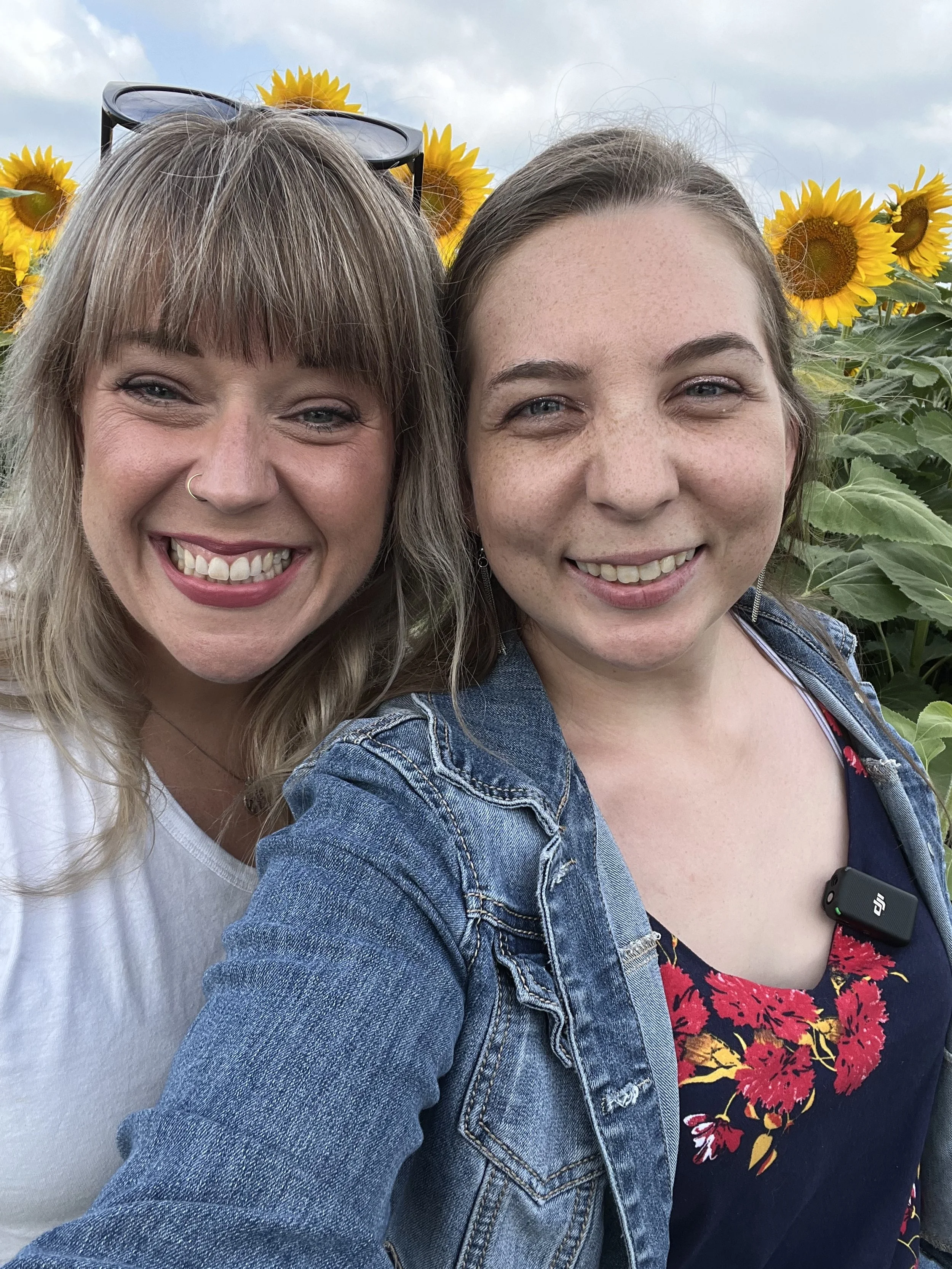 Heidi’s Hidden Gems Secret Sunflower Field — The Kokomo Post