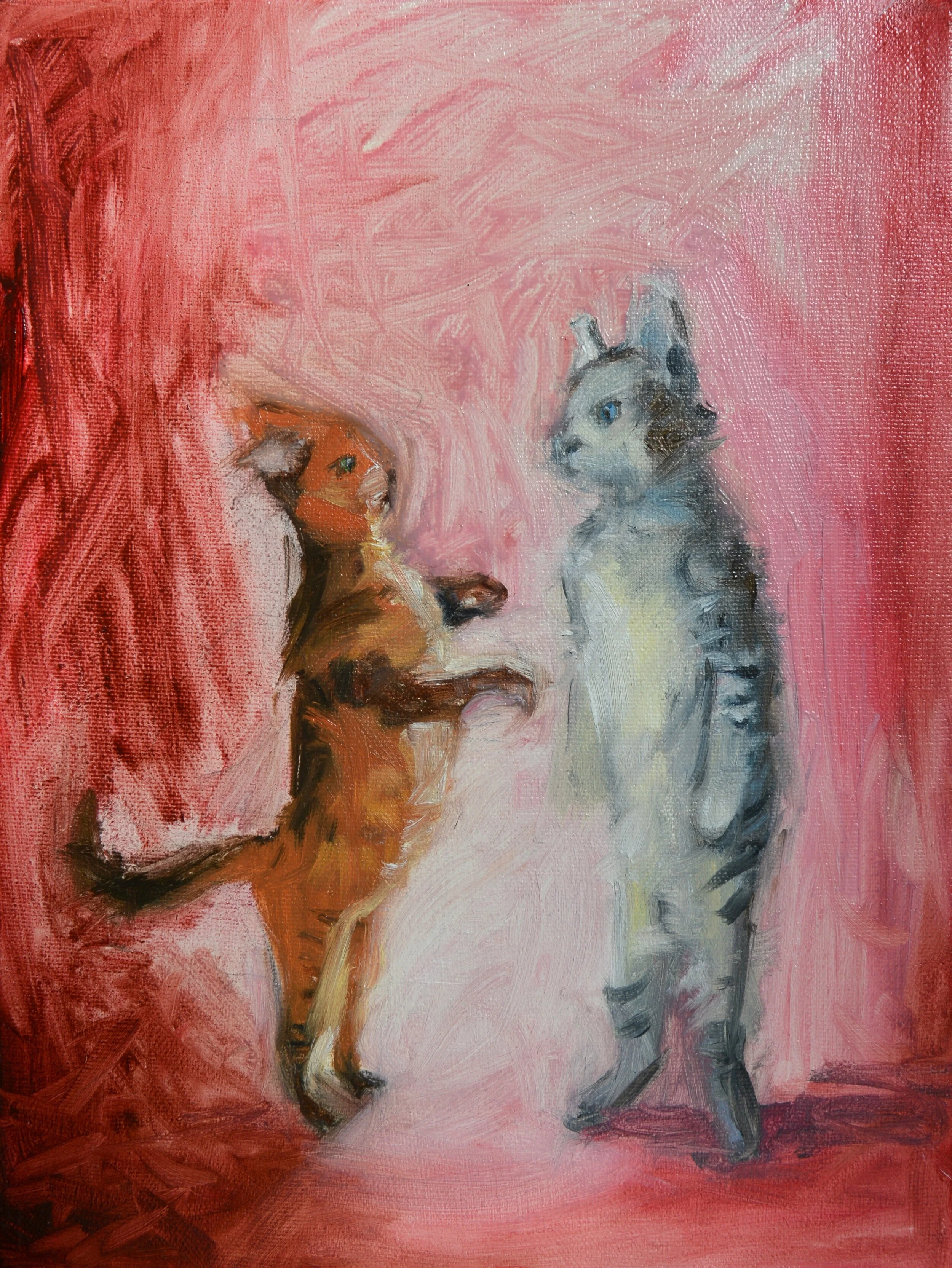 Orange Cat, Grey Cat