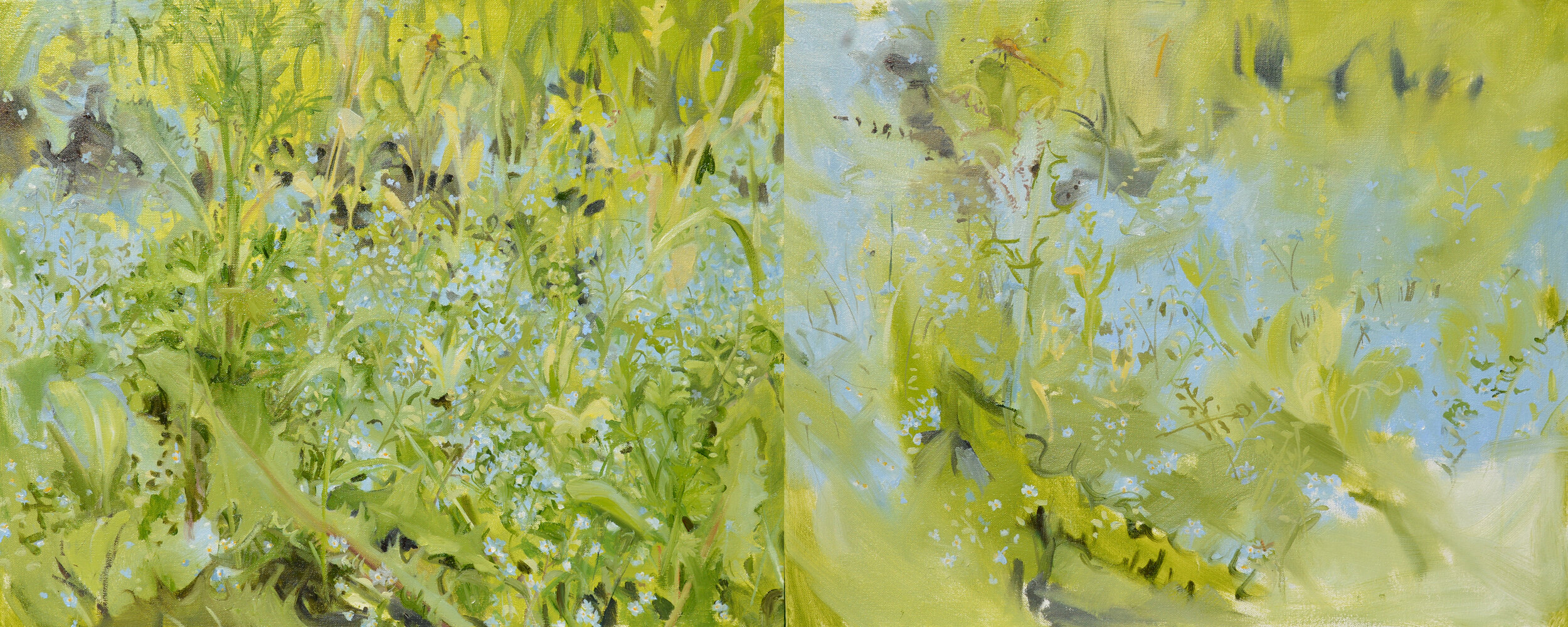 Backyard Garden     oil on canvas    16” x 40”     2014 