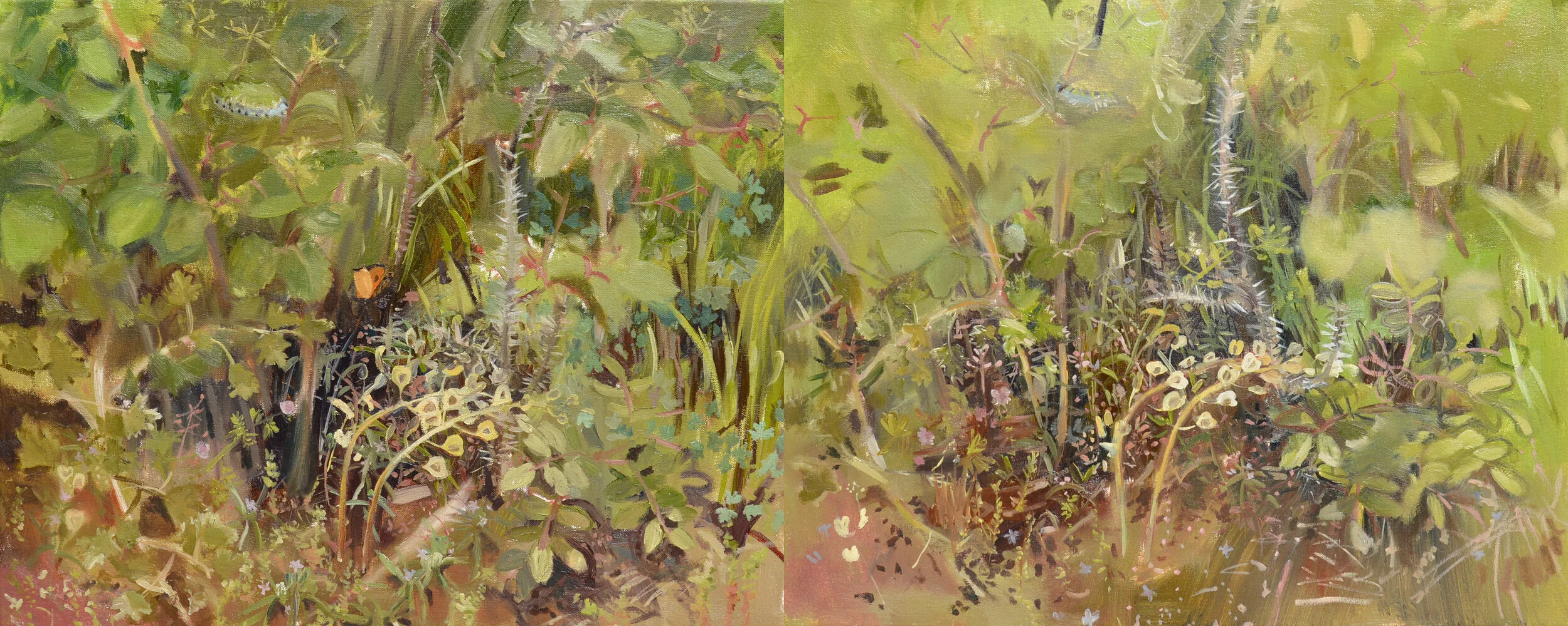 Falcon Lake Shore    oil on canvas    16” x 40”     2014