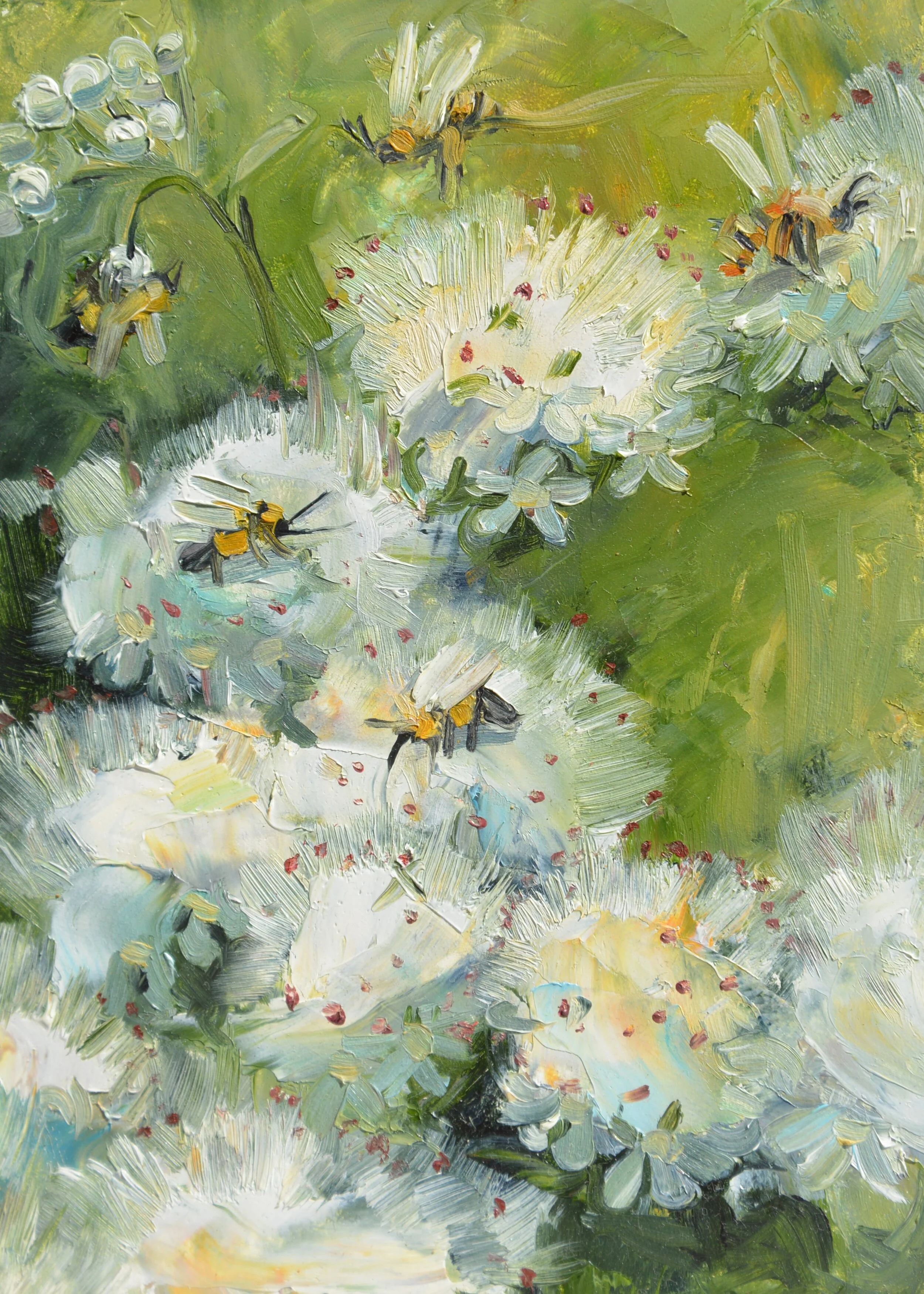 BG_WhiteFlowers.JPG