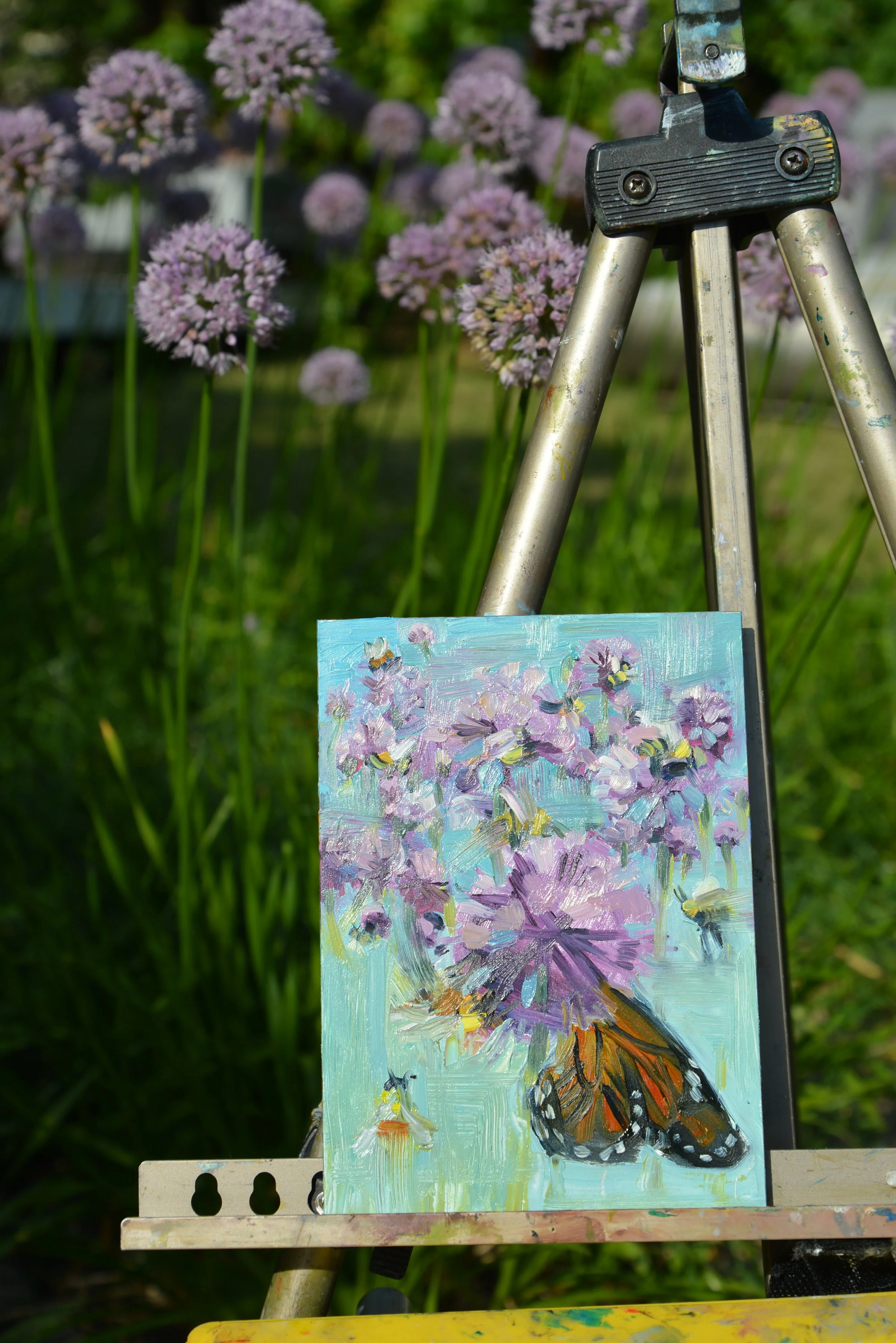 BG_Chives_butterfly.JPG