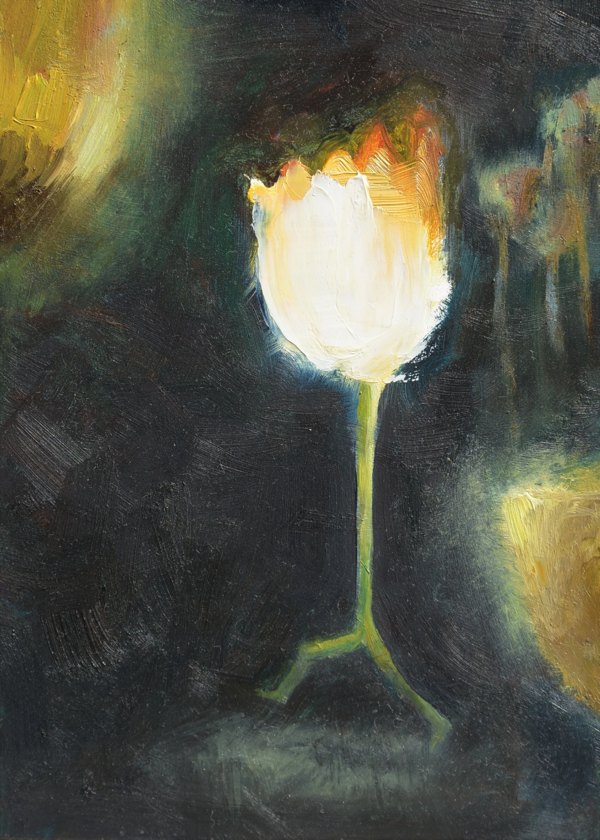 BG_Yellow_tulips_night2.JPG