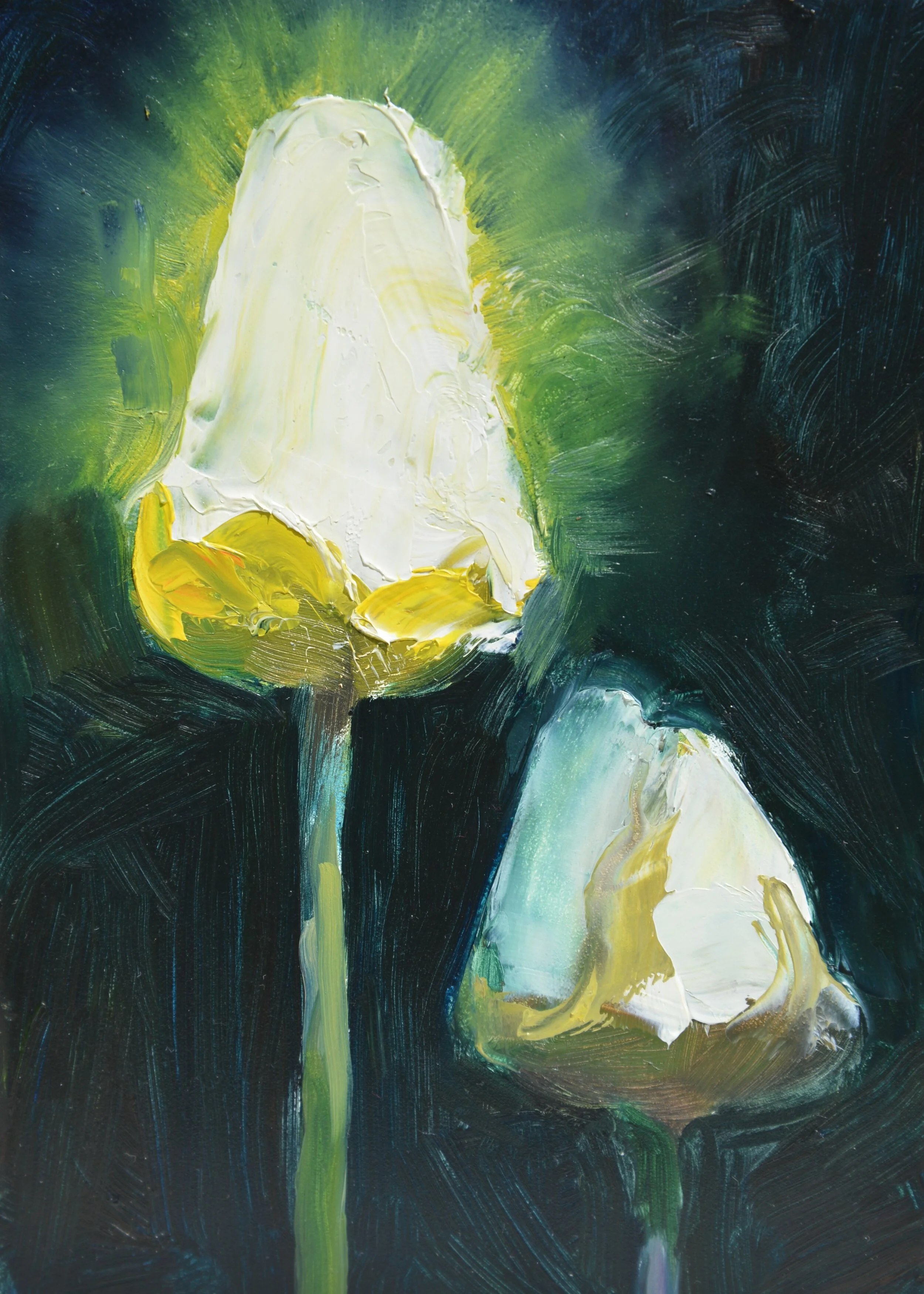 BG_NightTulips2020.JPG
