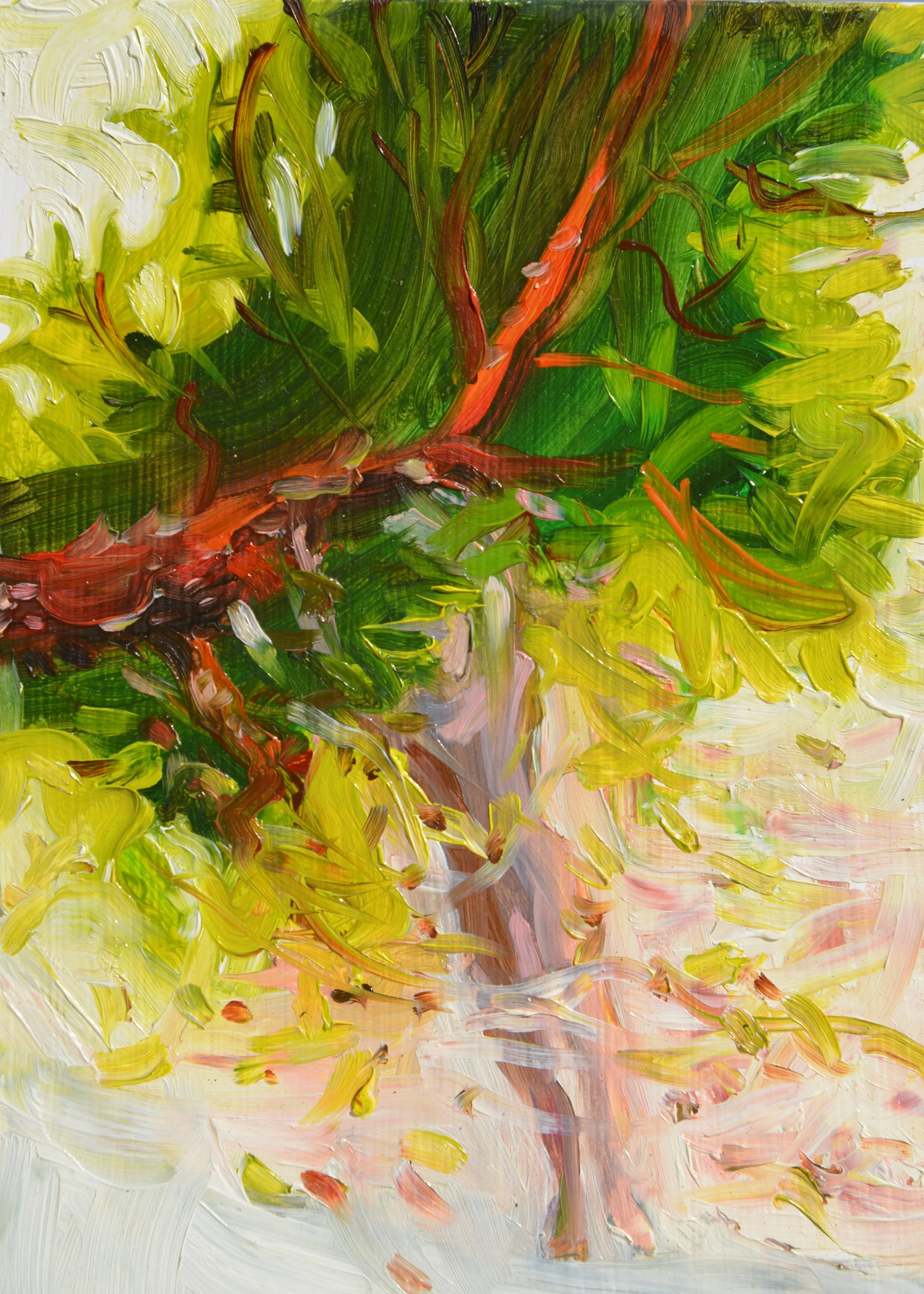 BrennaGeorge_arbutus_PleinAir2019.JPG